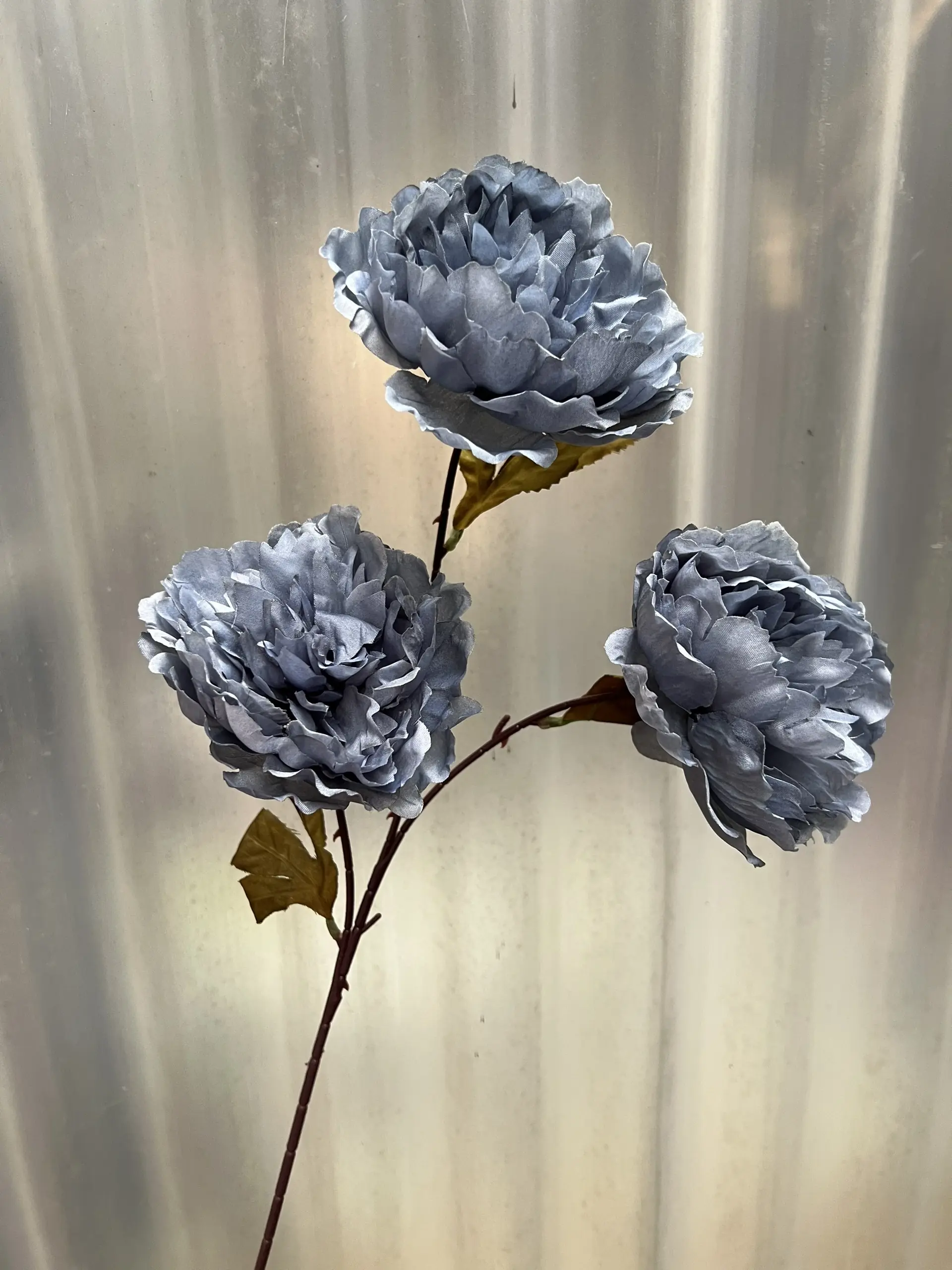 Hoa Trà 3 Bông - Ảnh 7