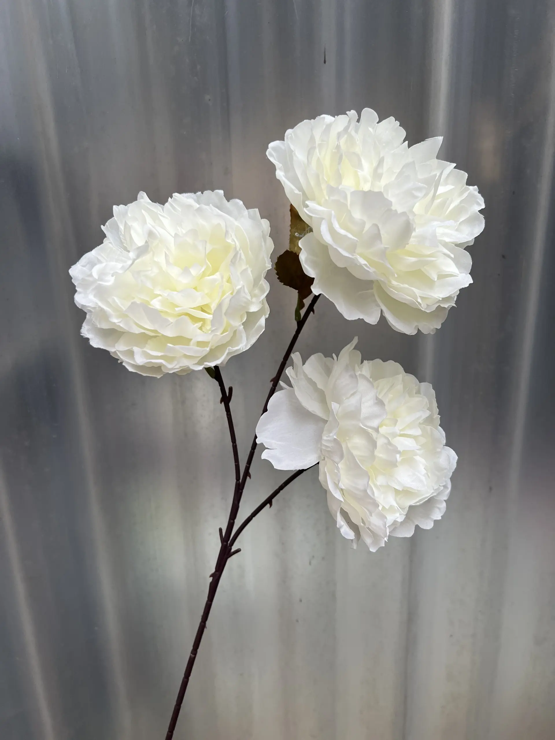 Hoa Trà 3 Bông - Ảnh 8