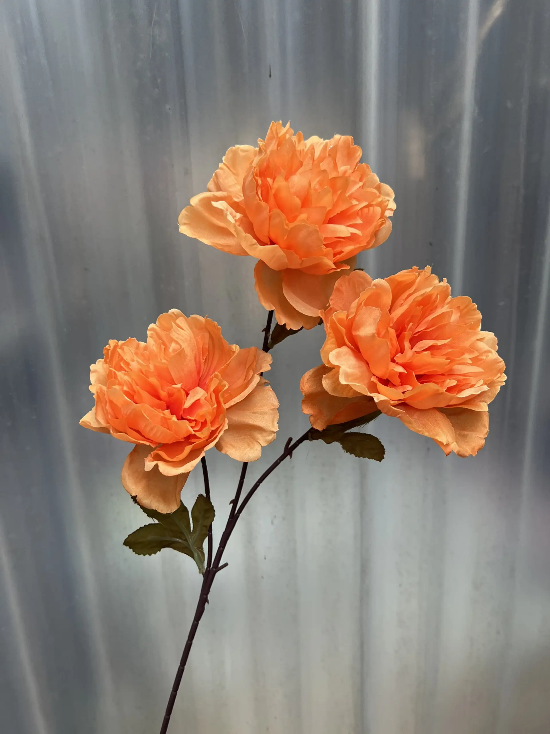 Hoa Trà 3 Bông - Ảnh 9