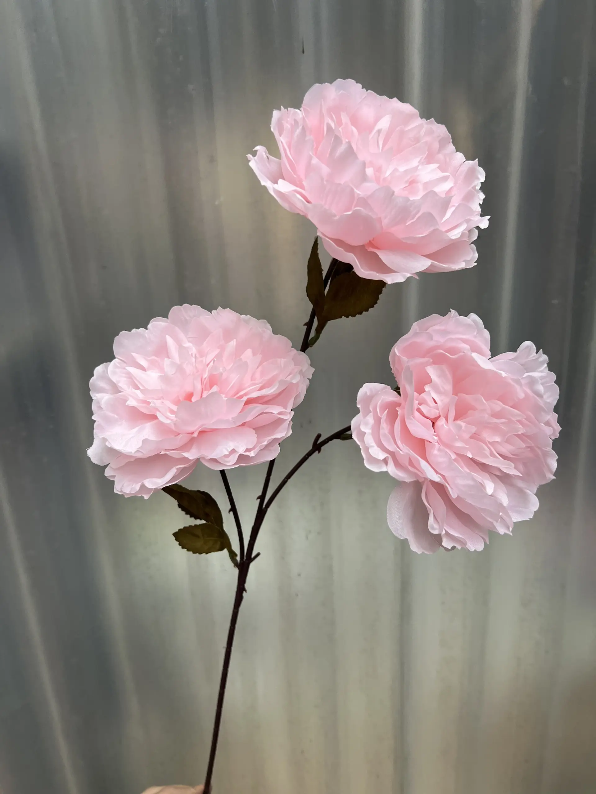 Hoa Trà 3 Bông - Ảnh 10