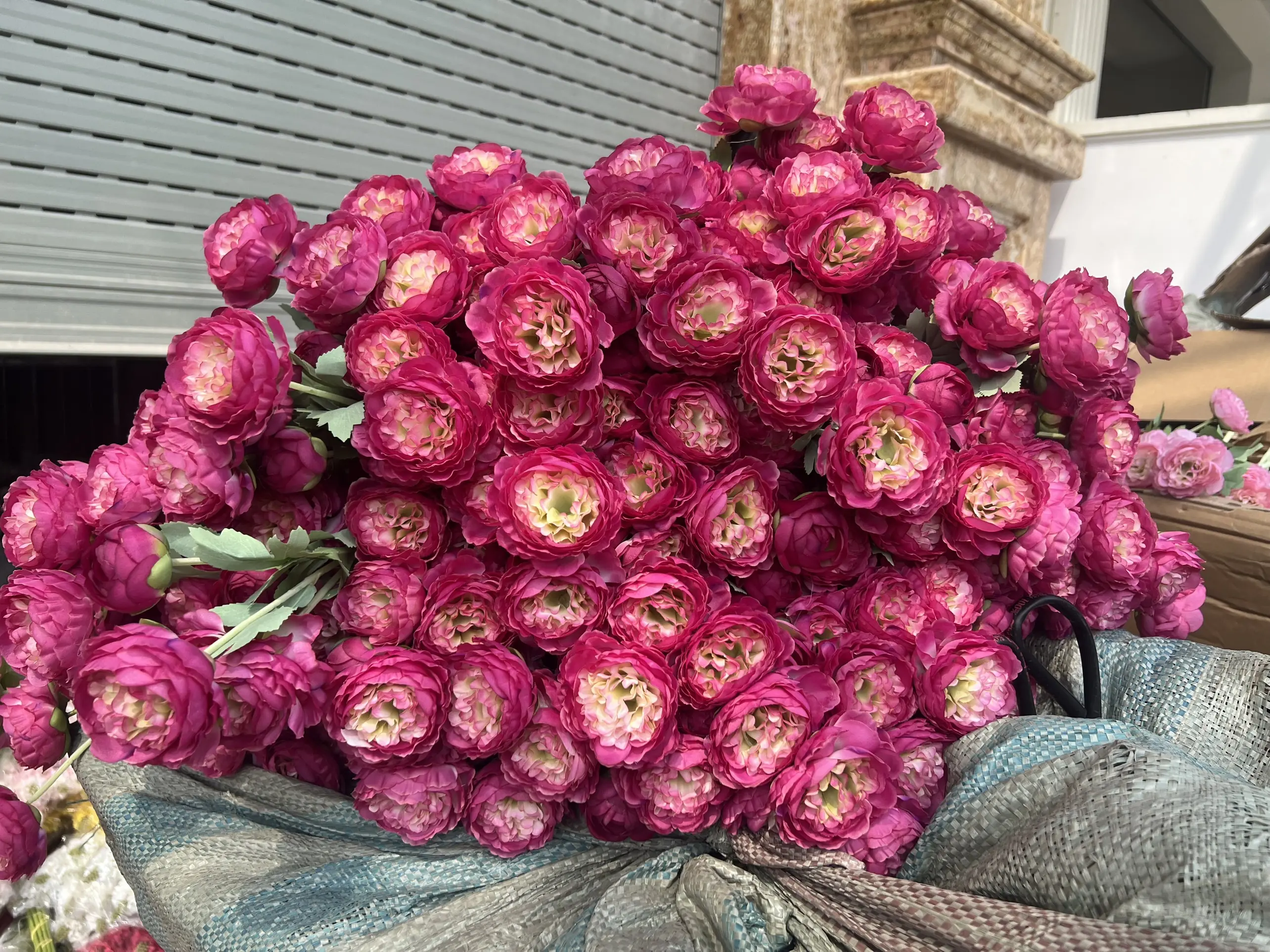 Hoa Trà Kép - Ảnh 5