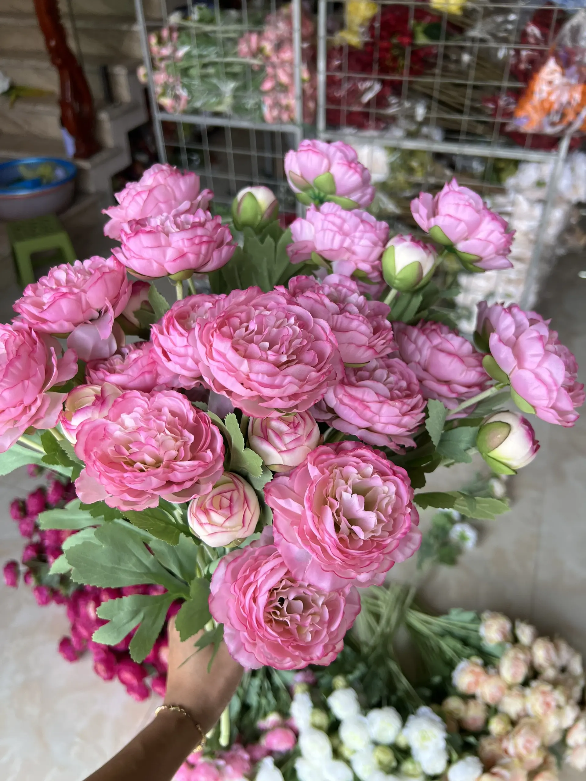 Hoa Trà Kép - Ảnh 6