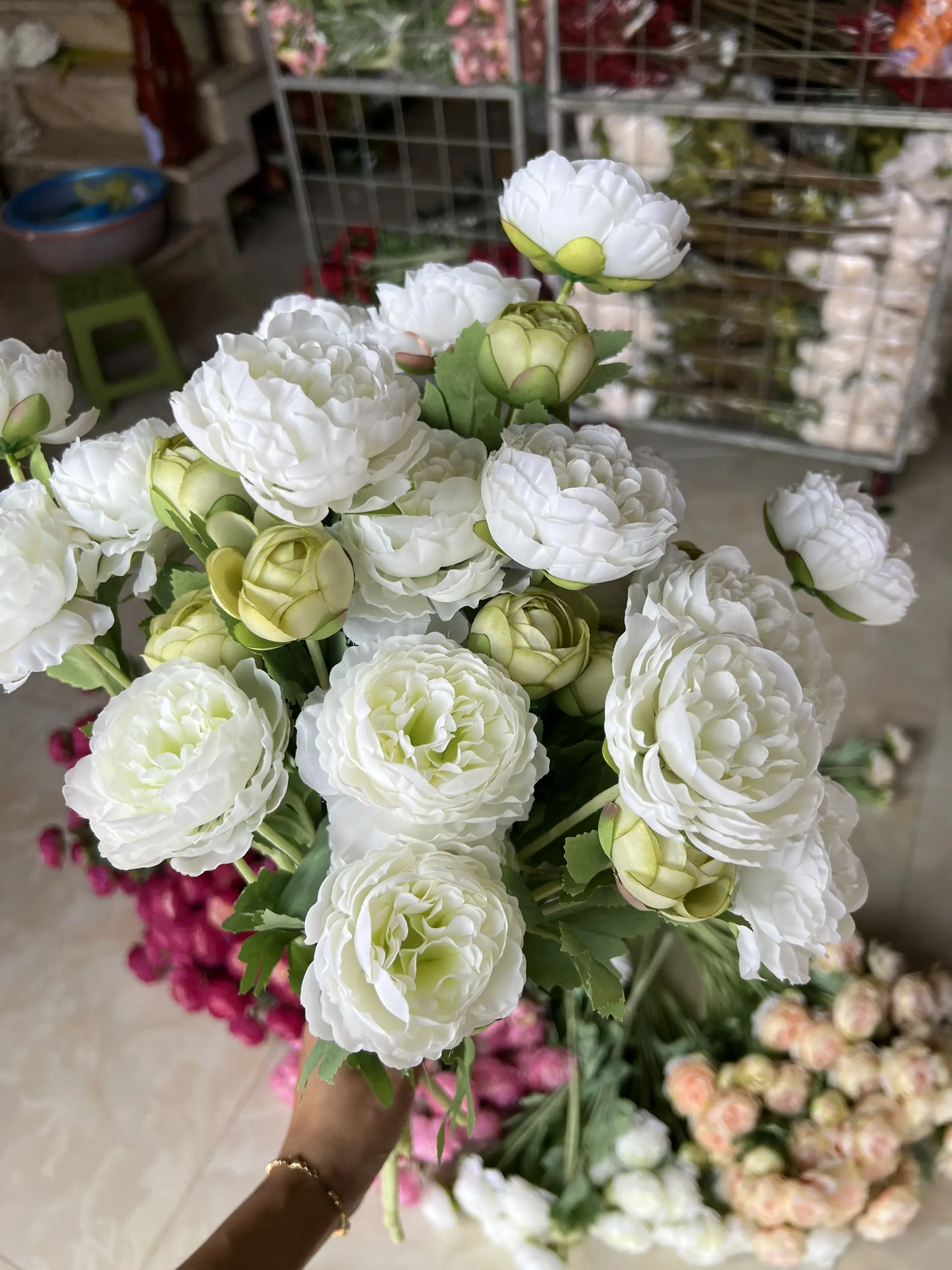 Hoa Trà Kép - Ảnh 7