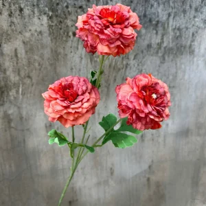 Hoa Trà Khô 3 Bông