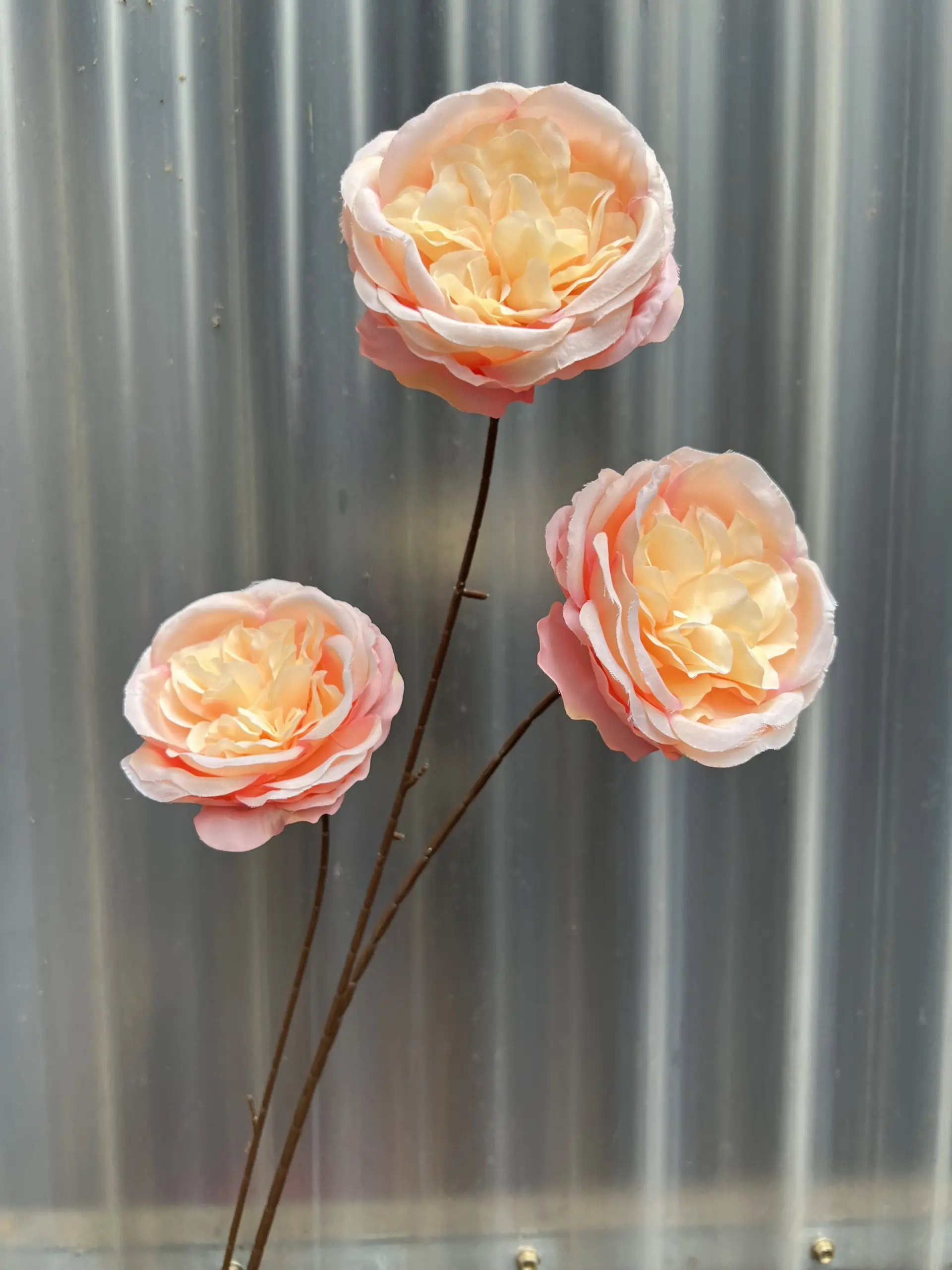 Hoa Trà Ohara - Ảnh 4