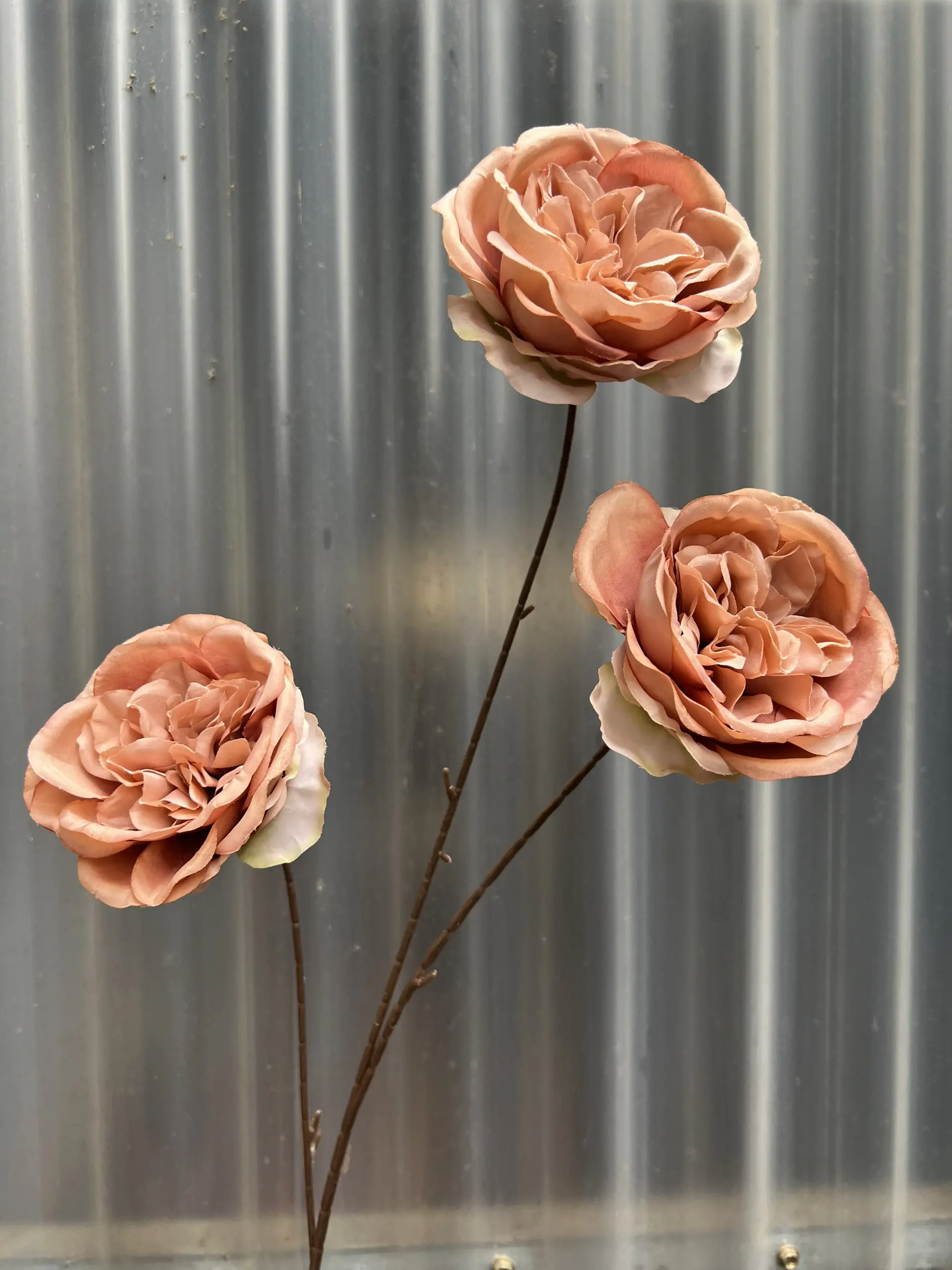 Hoa Trà Ohara - Ảnh 7