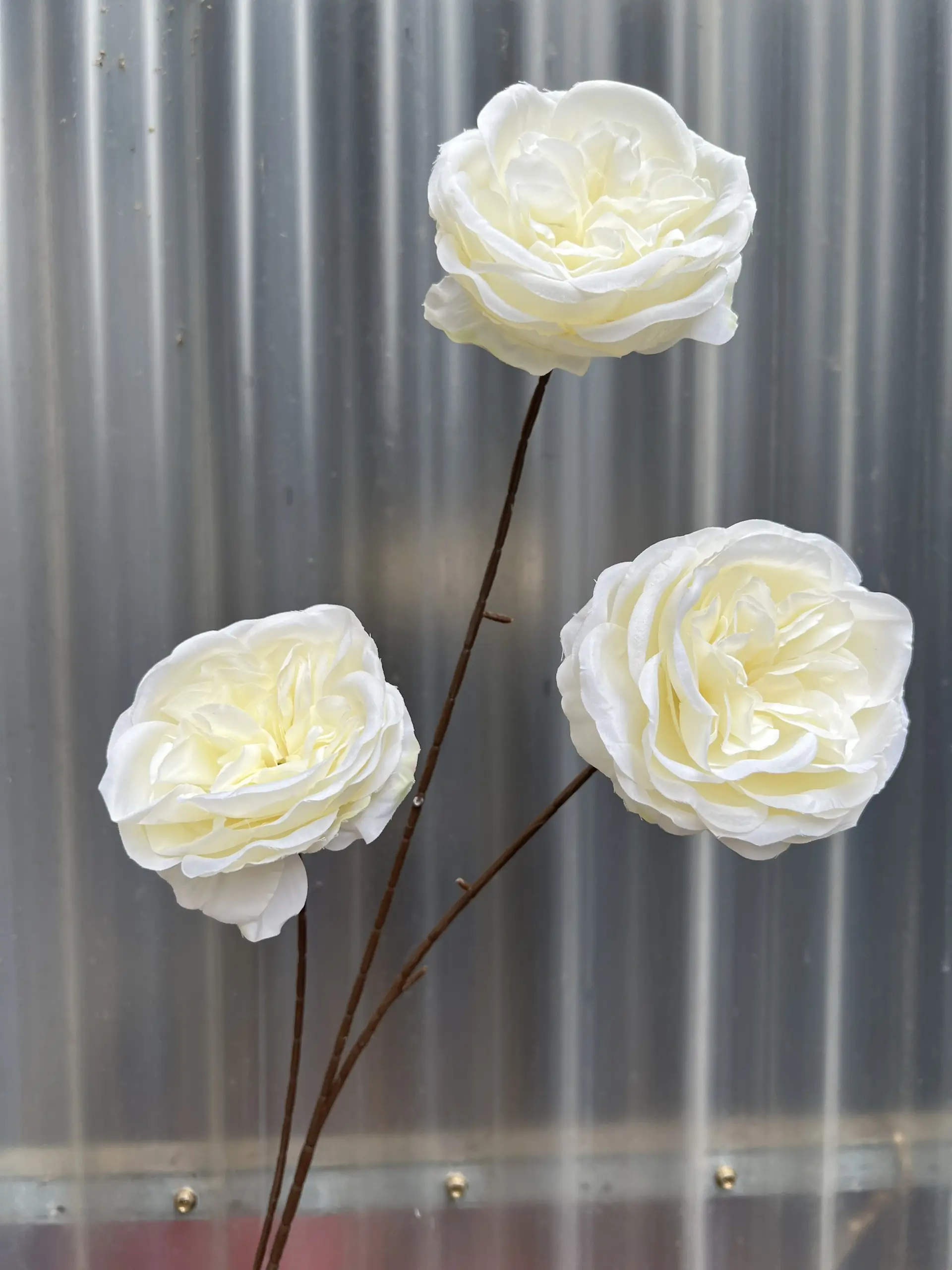 Hoa Trà Ohara - Ảnh 9