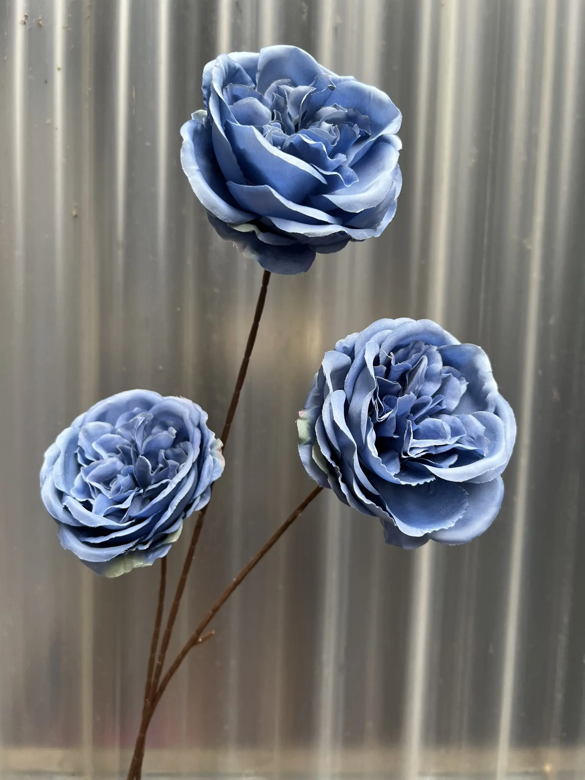 Hoa Trà Ohara - Ảnh 15