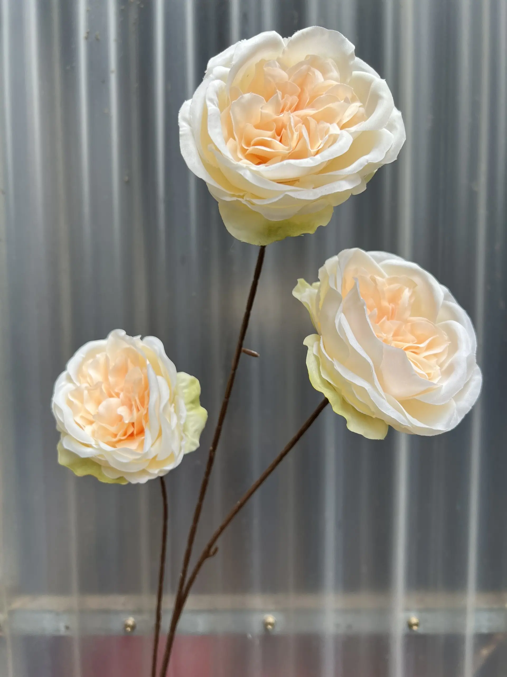 Hoa Trà Ohara - Ảnh 18