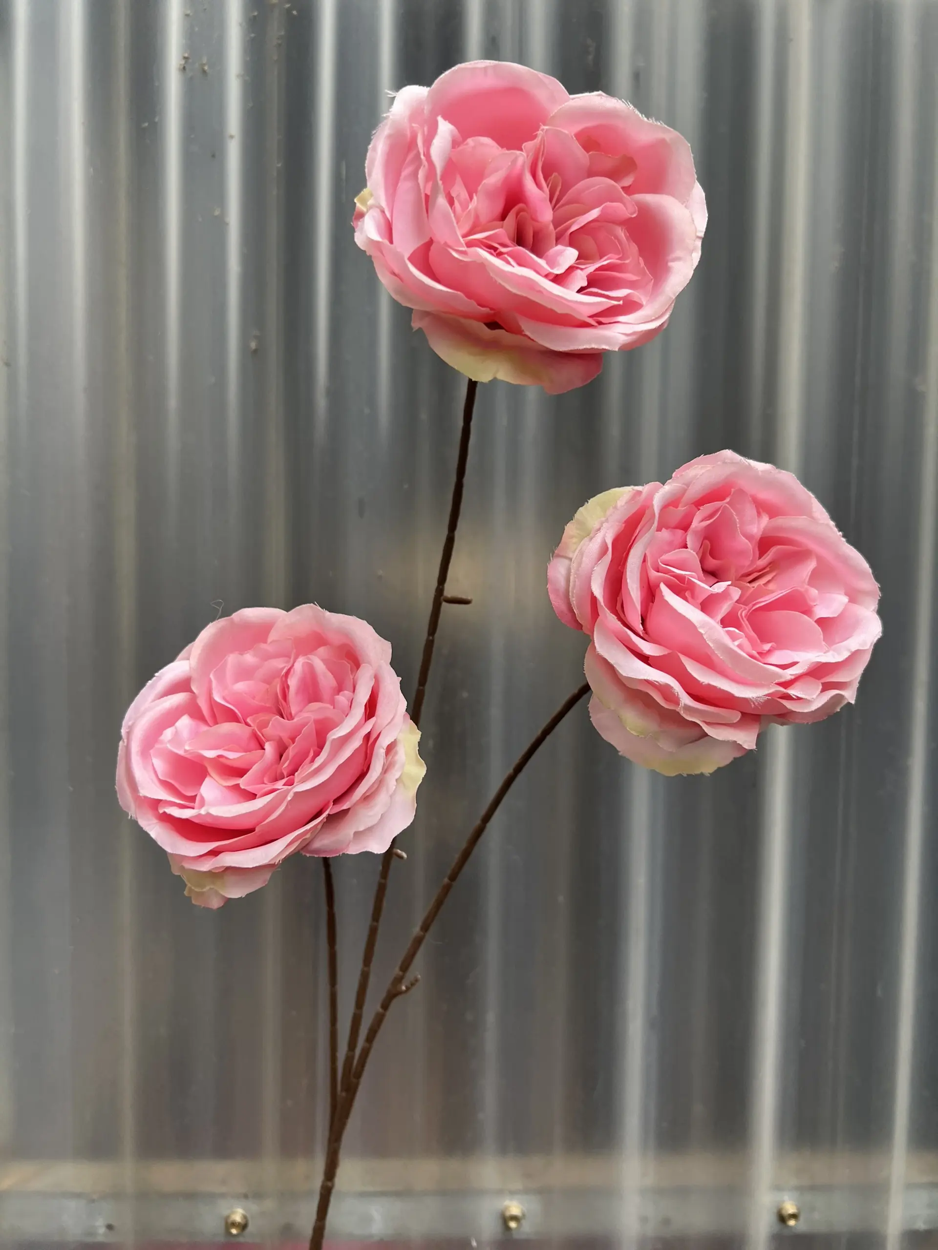 Hoa Trà Ohara - Ảnh 21