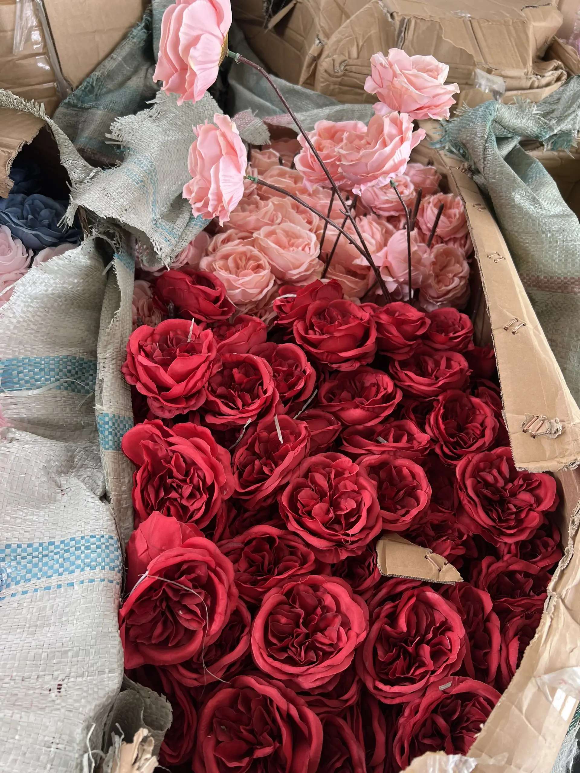 Hoa Trà Ohara - Ảnh 31