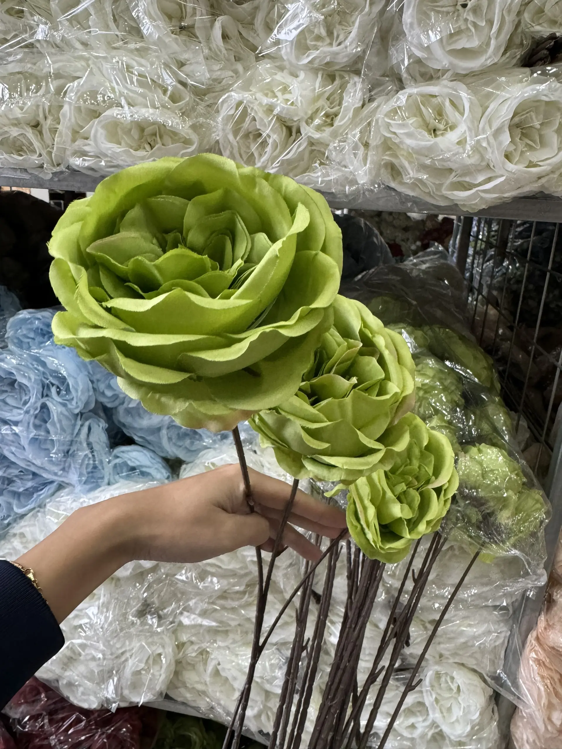 Hoa Trà Ohara - Ảnh 35