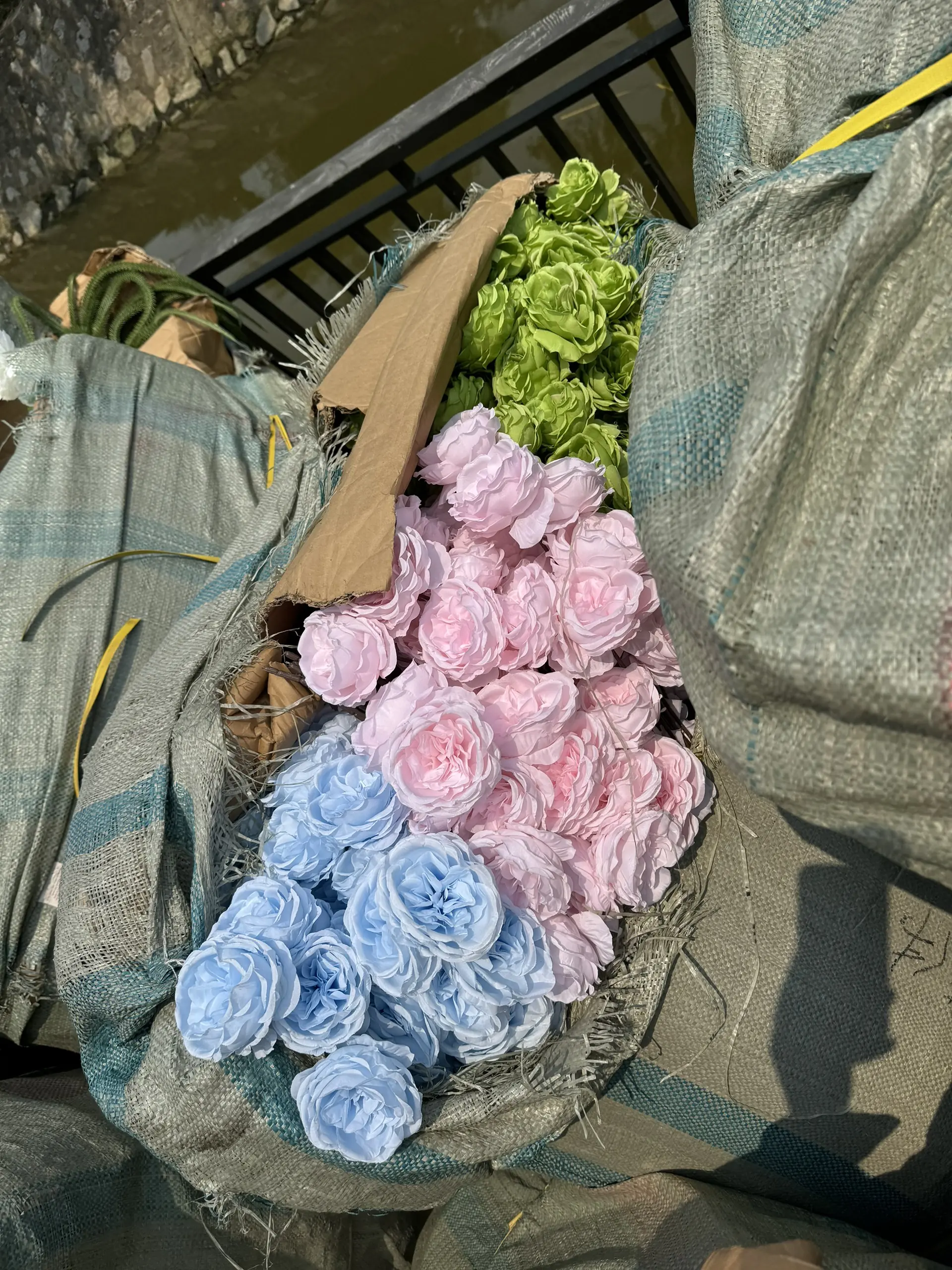 Hoa Trà Ohara - Ảnh 36