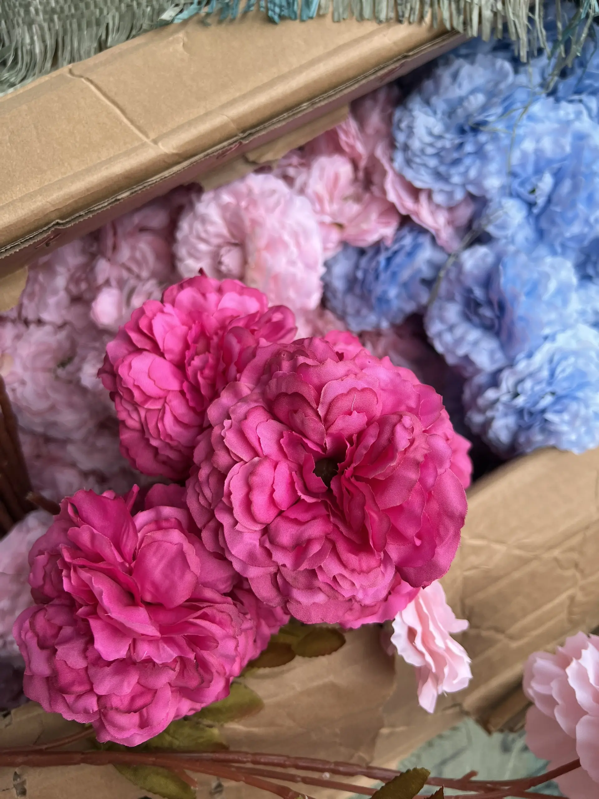 Hoa Trà Xoăn 16, - Ảnh 3