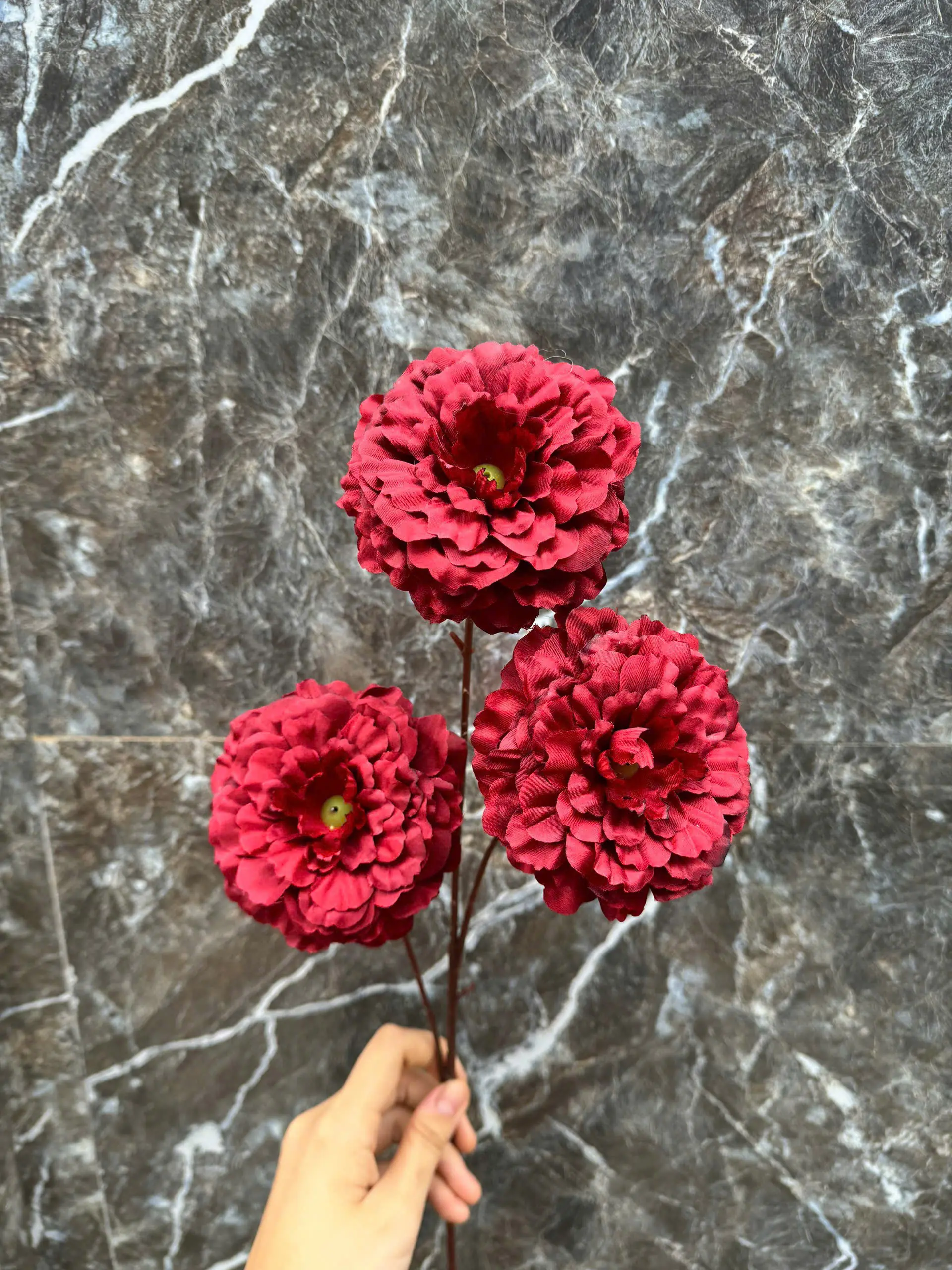 Hoa Trà Xoăn Vn - Ảnh 2