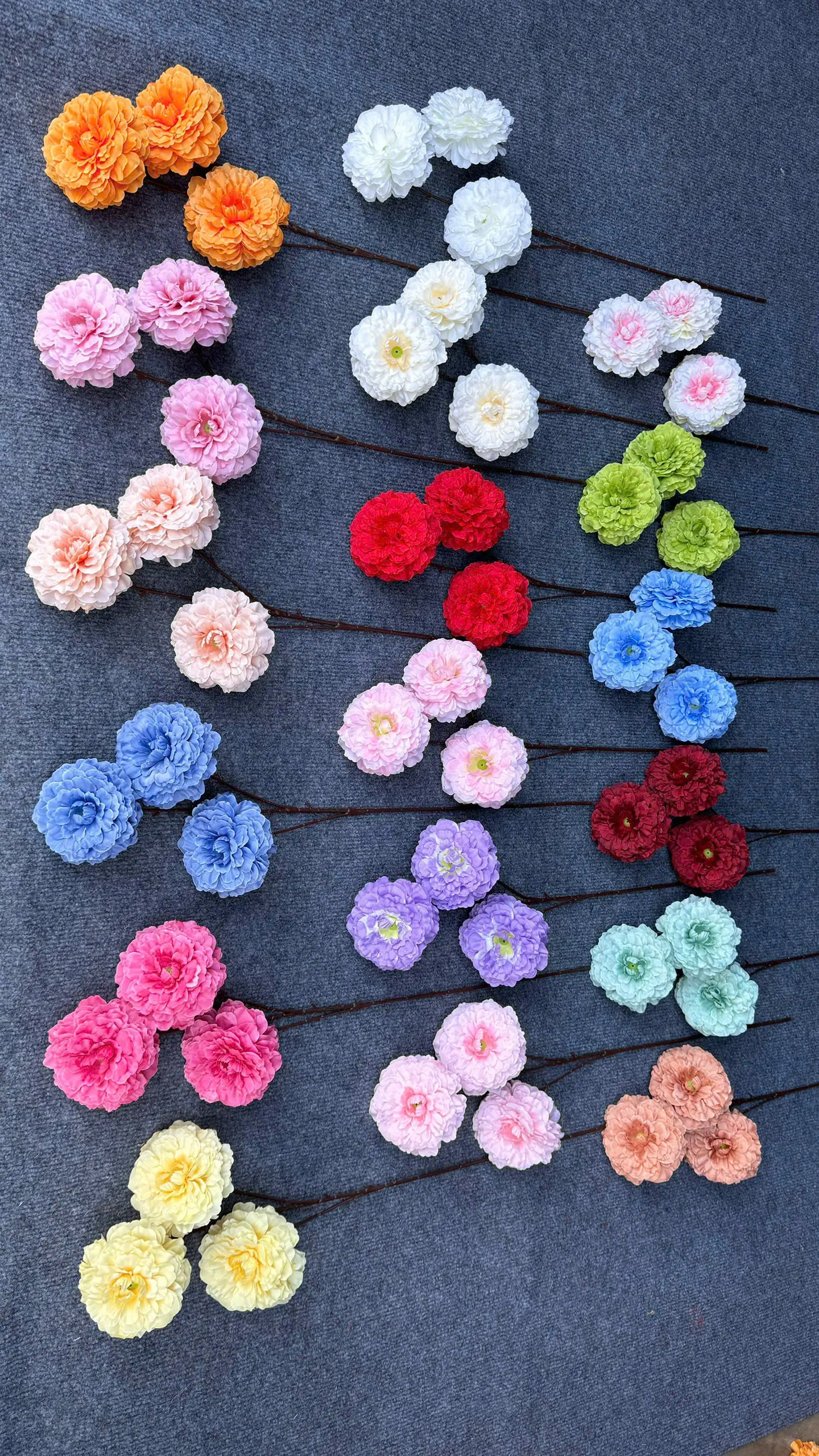 Hoa Trà Xoăn Vn - Ảnh 3