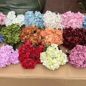 Hoa Tú Cầu 1 Bông