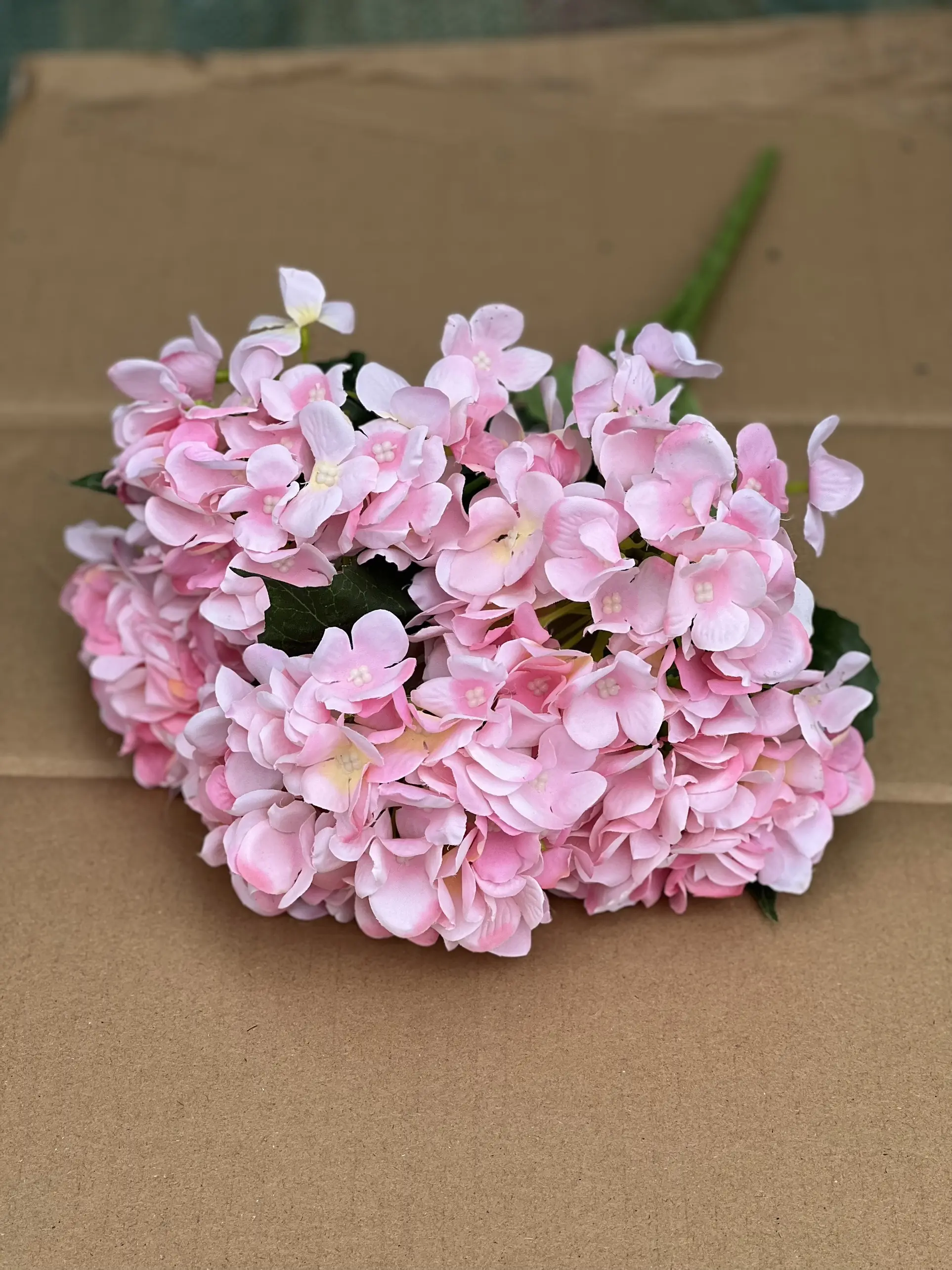 Hoa Tú Cầu 1 Bông - Ảnh 7