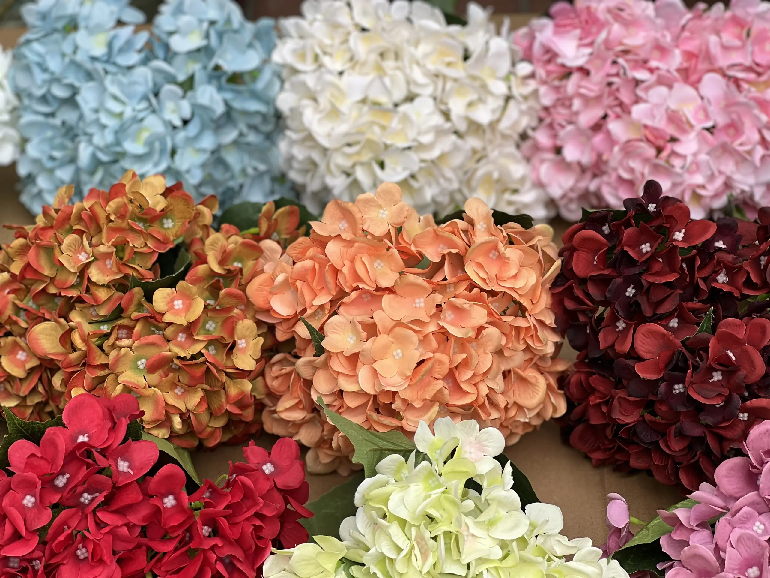 Hoa Tú Cầu 1 Bông - Ảnh 13