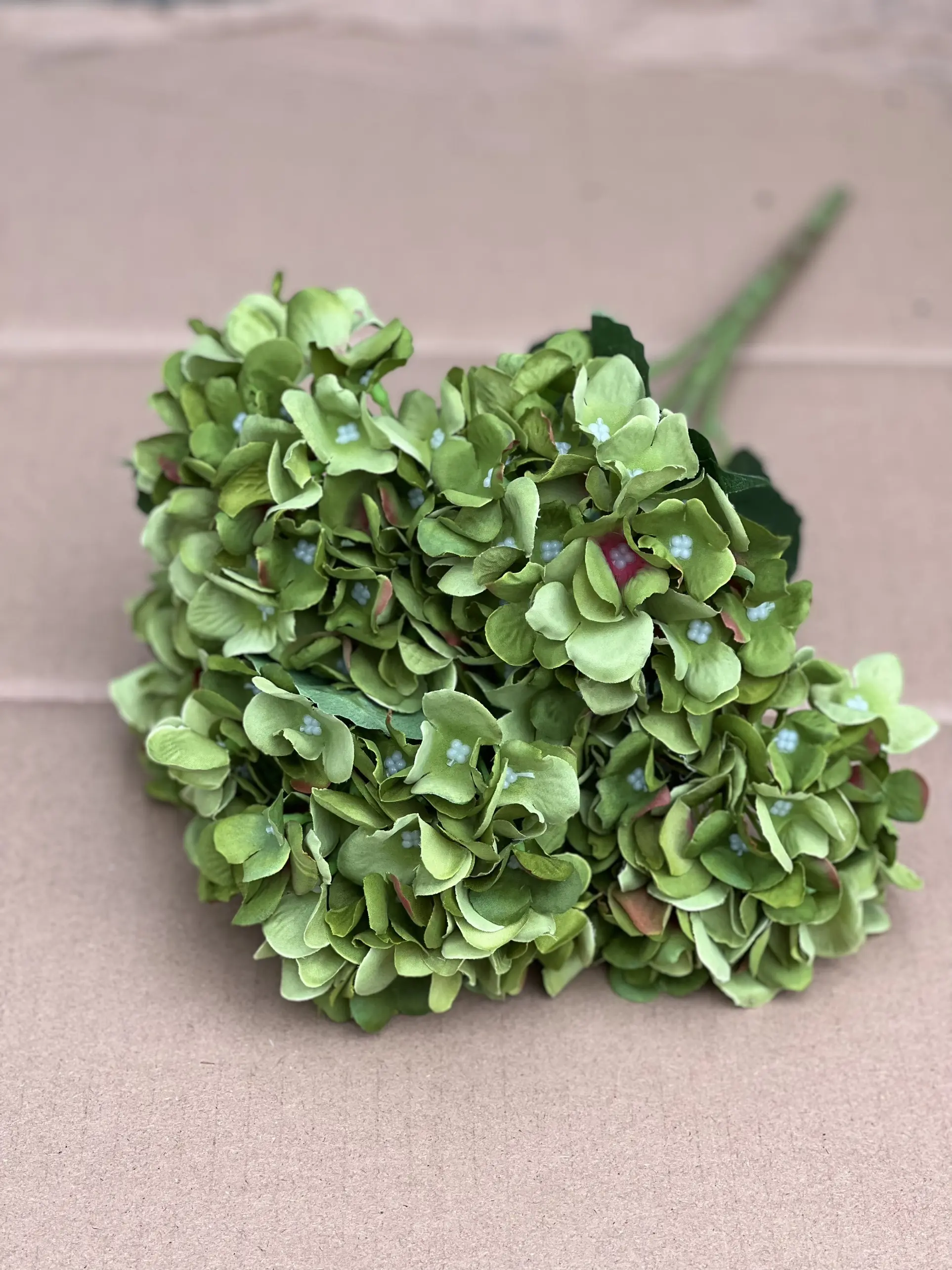 Hoa Tú Cầu 1 Bông - Ảnh 17