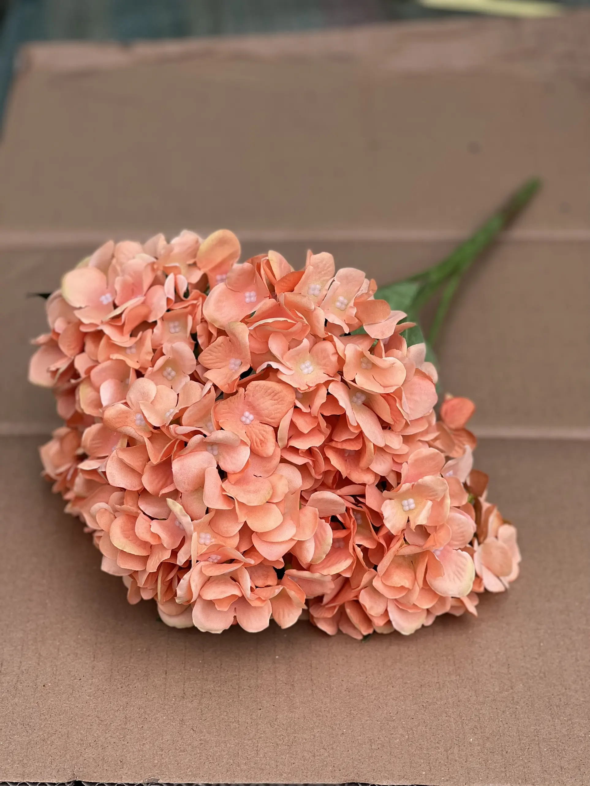 Hoa Tú Cầu 1 Bông - Ảnh 19