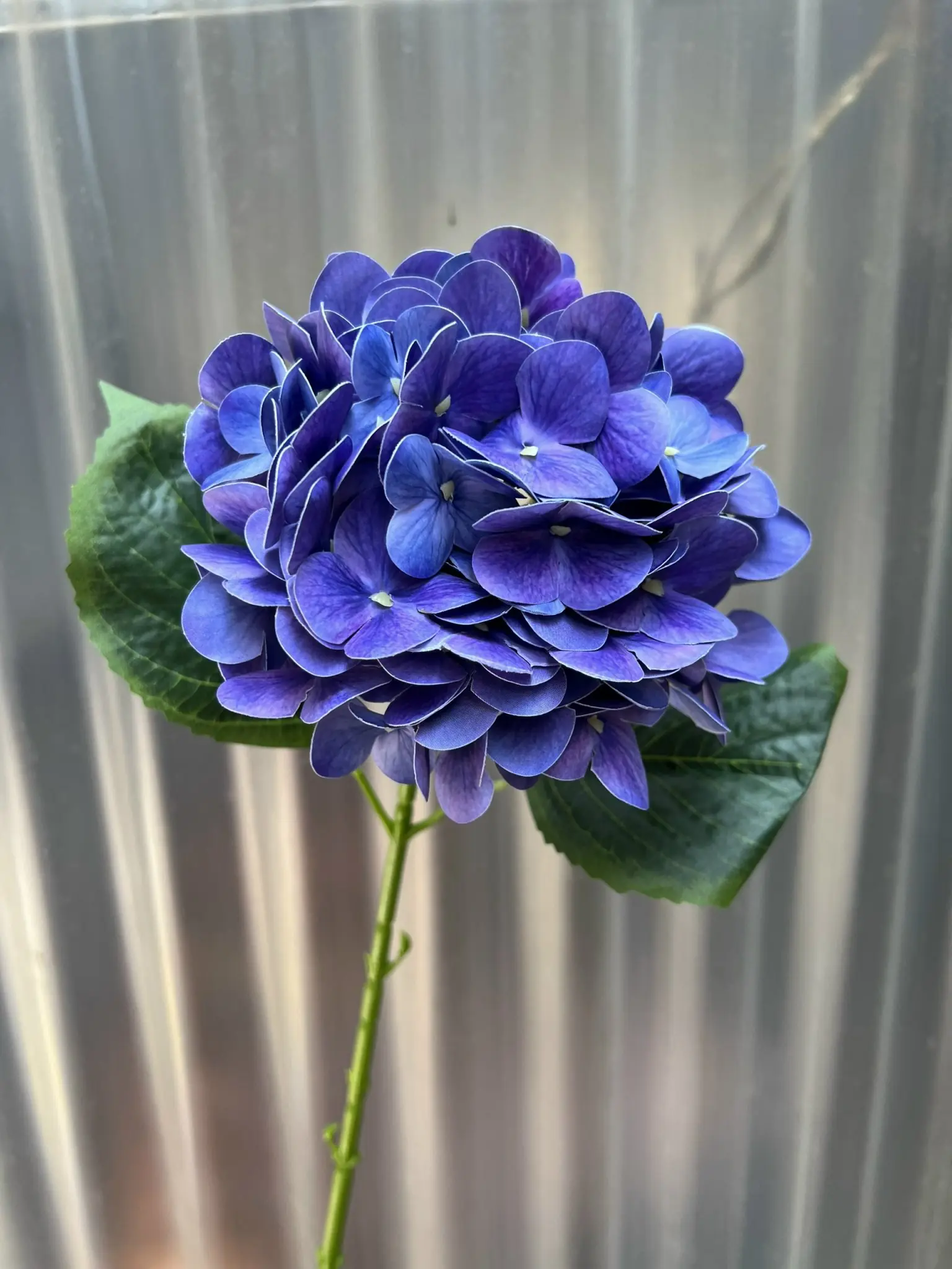 Hoa Tú Cầu Cao Su 1 Bông - Ảnh 9