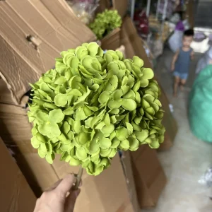 Hoa Tú Cầu Đại 1 Bông