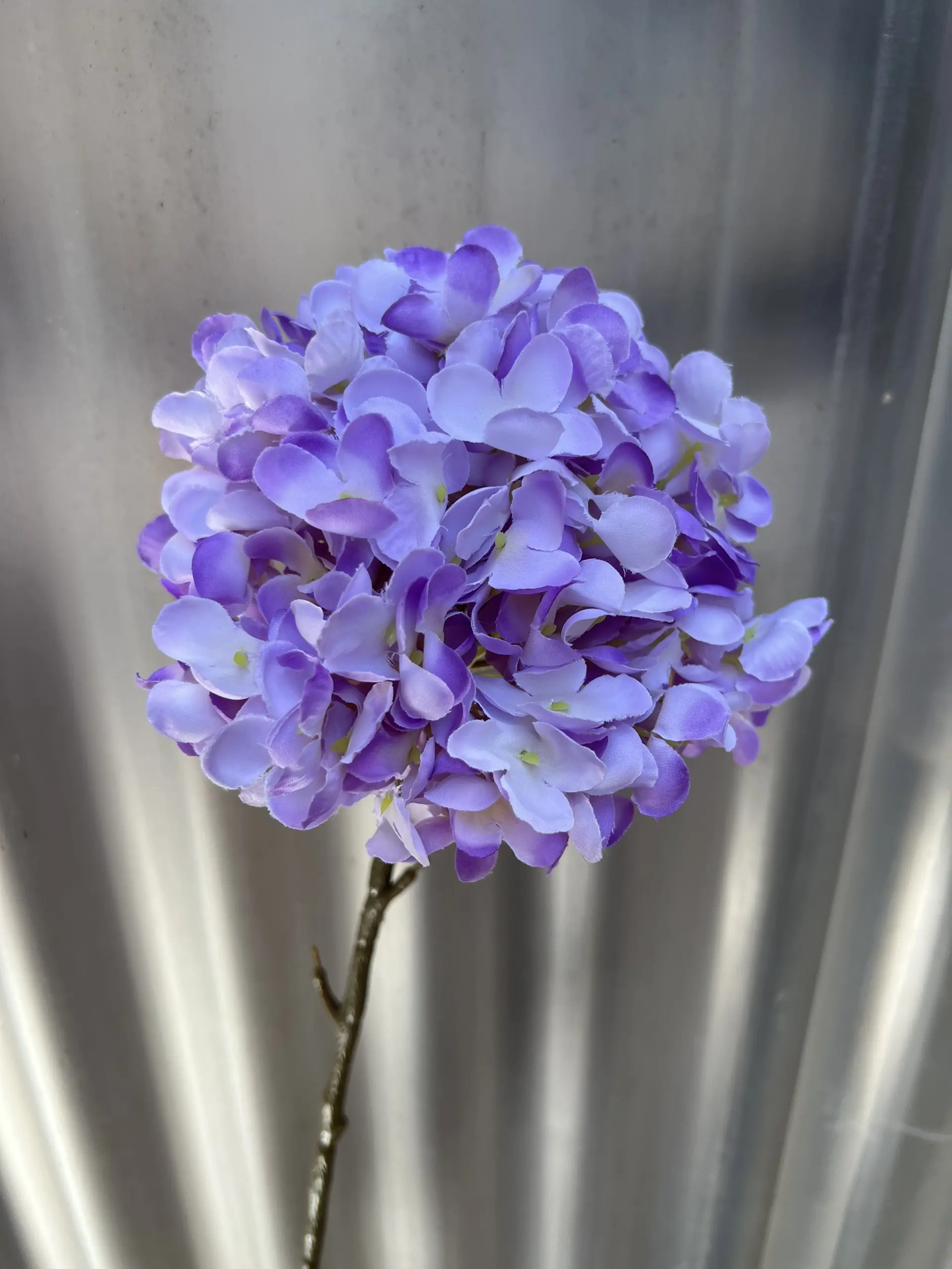 Hoa Tú Cầu Đại 1 Bông - Ảnh 2