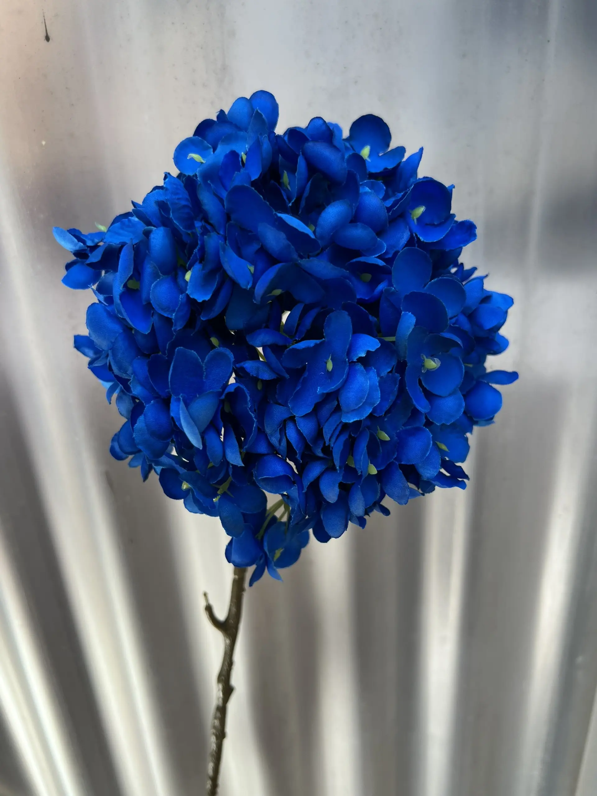 Hoa Tú Cầu Đại 1 Bông - Ảnh 4