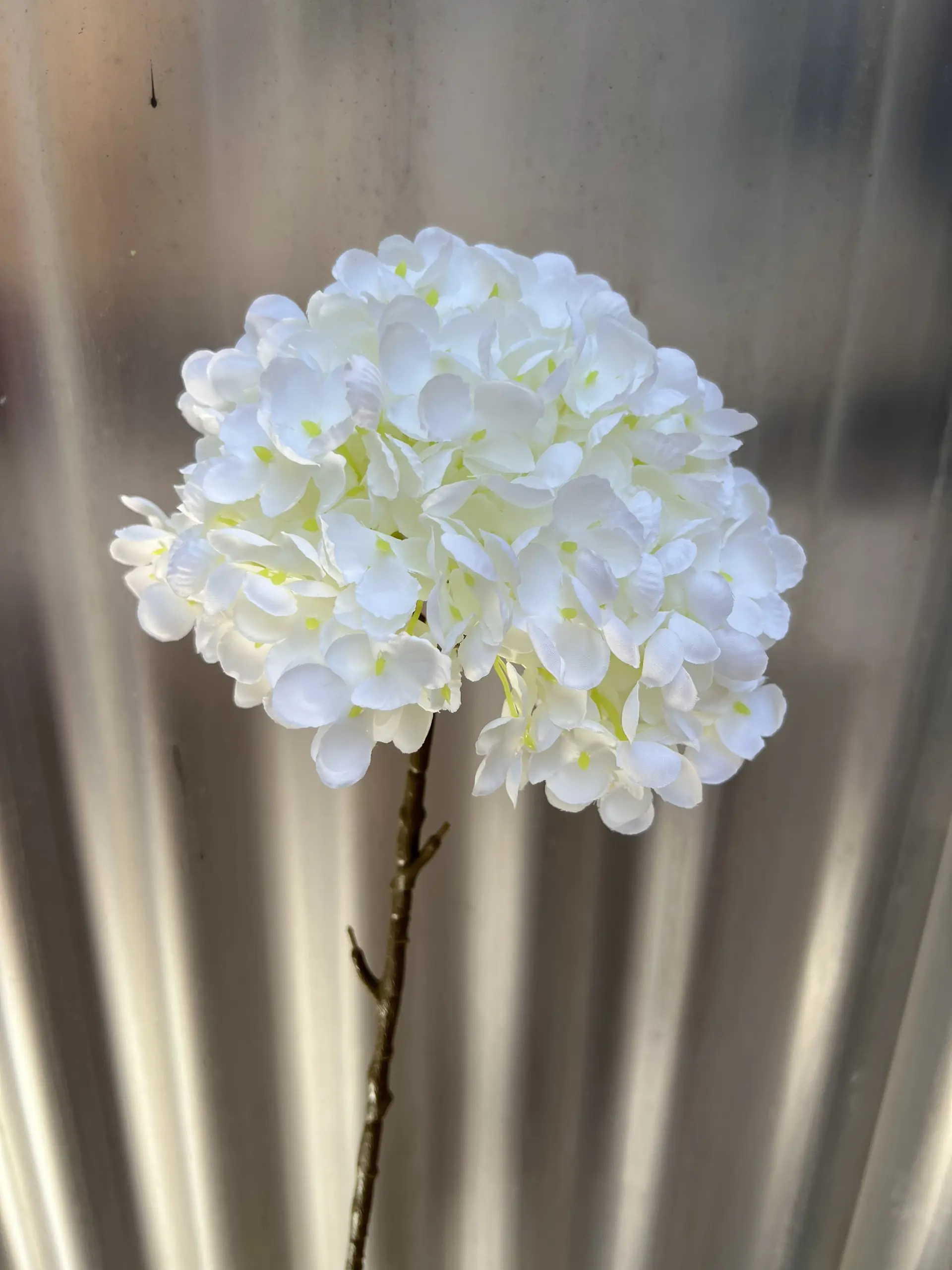 Hoa Tú Cầu Đại 1 Bông - Ảnh 5