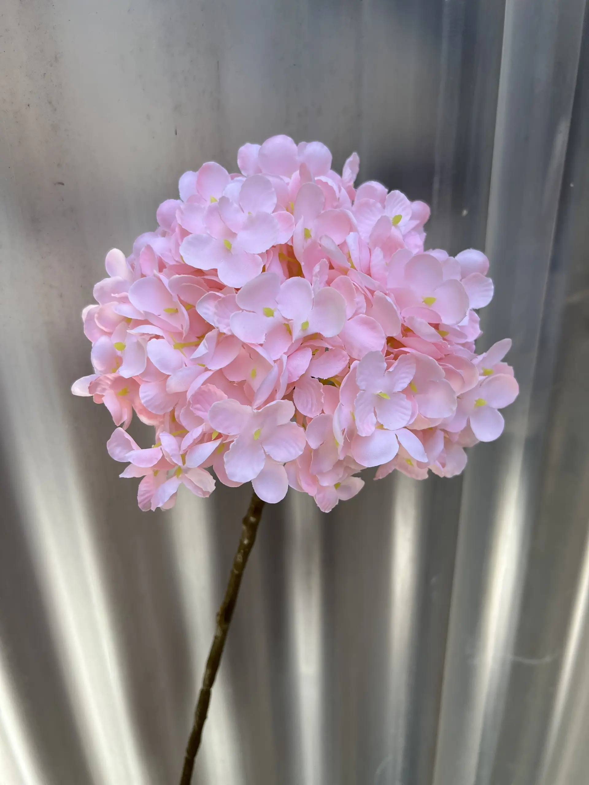 Hoa Tú Cầu Đại 1 Bông - Ảnh 6