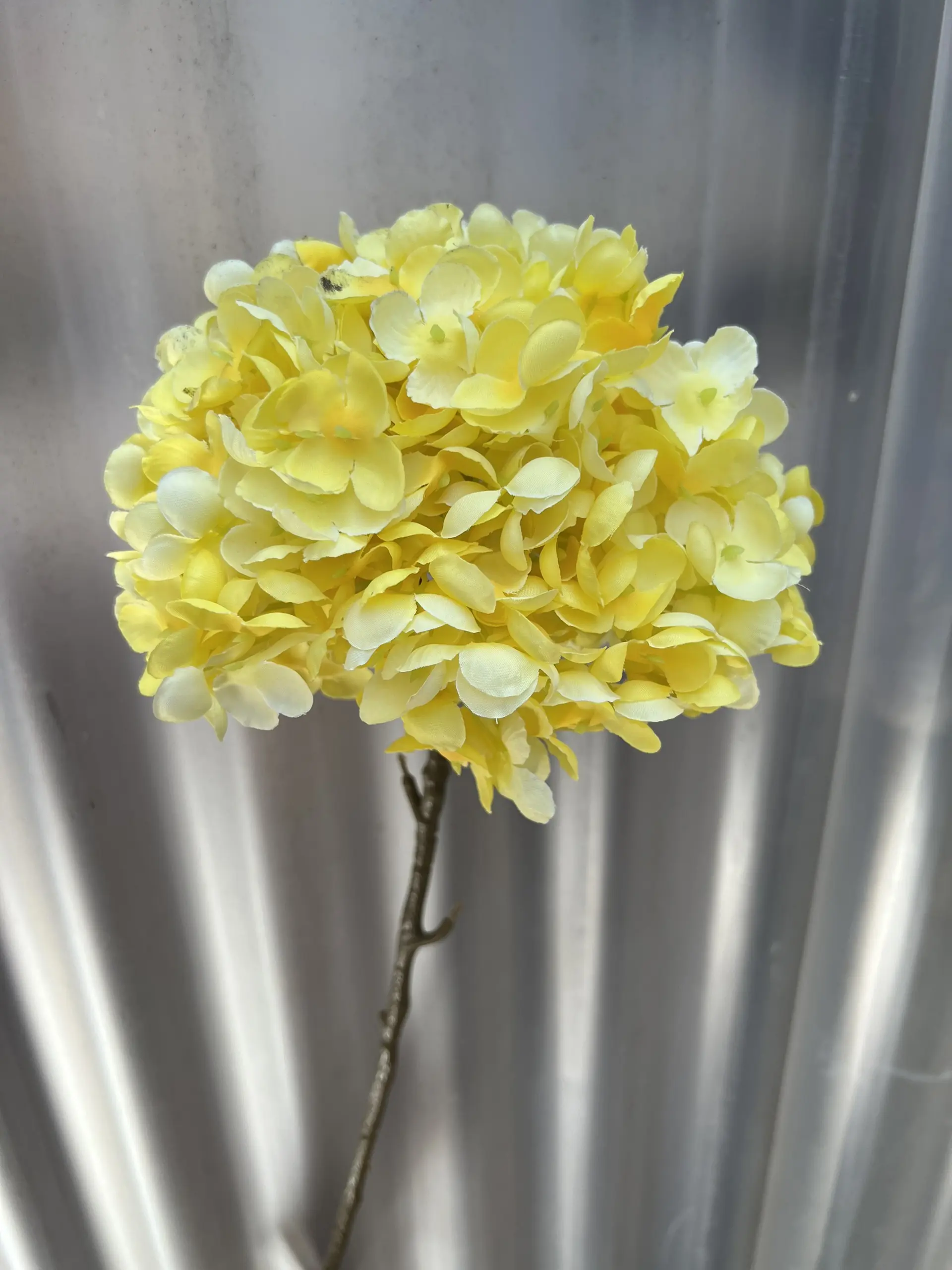 Hoa Tú Cầu Đại 1 Bông - Ảnh 8