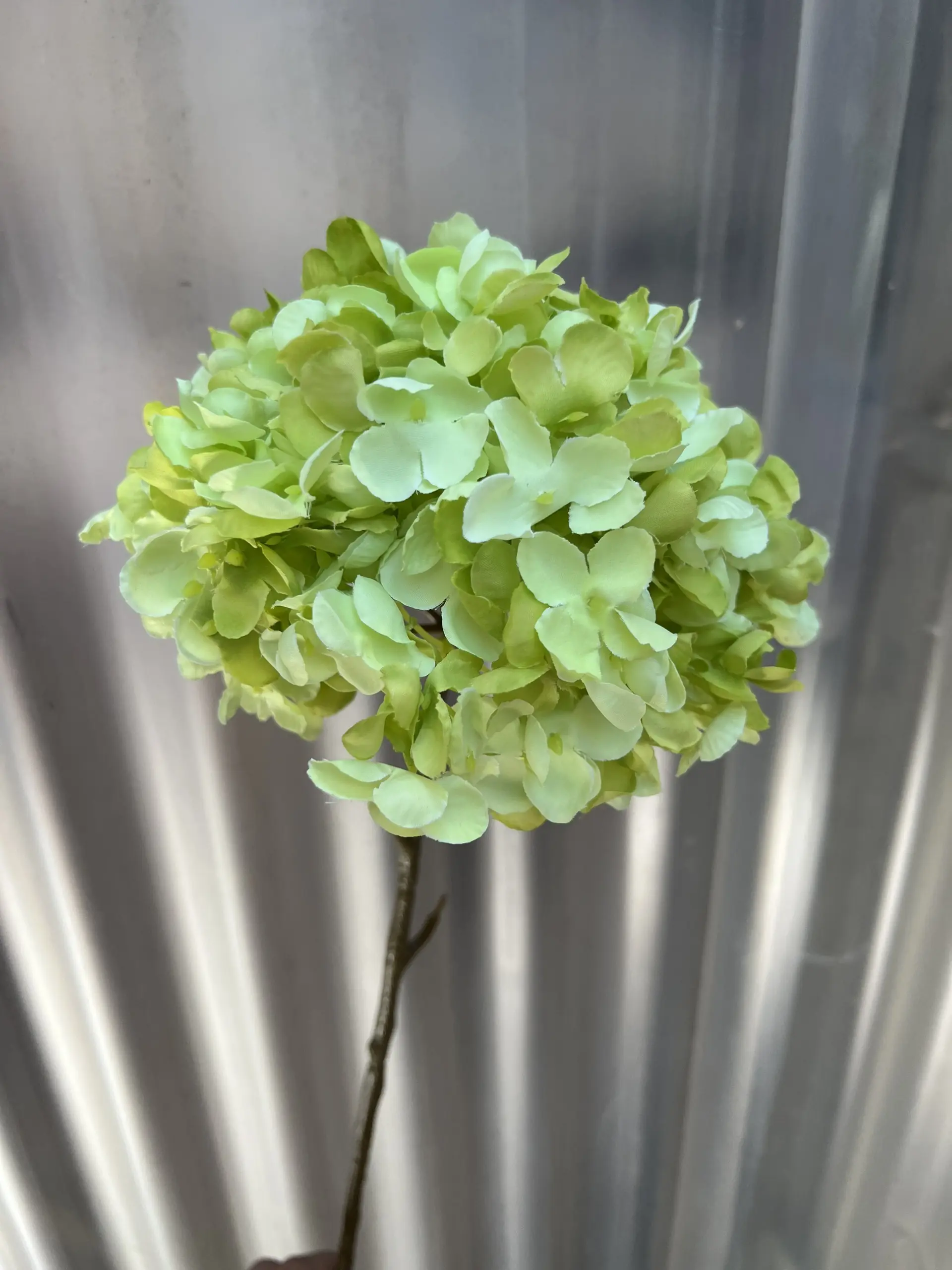 Hoa Tú Cầu Đại 1 Bông - Ảnh 9