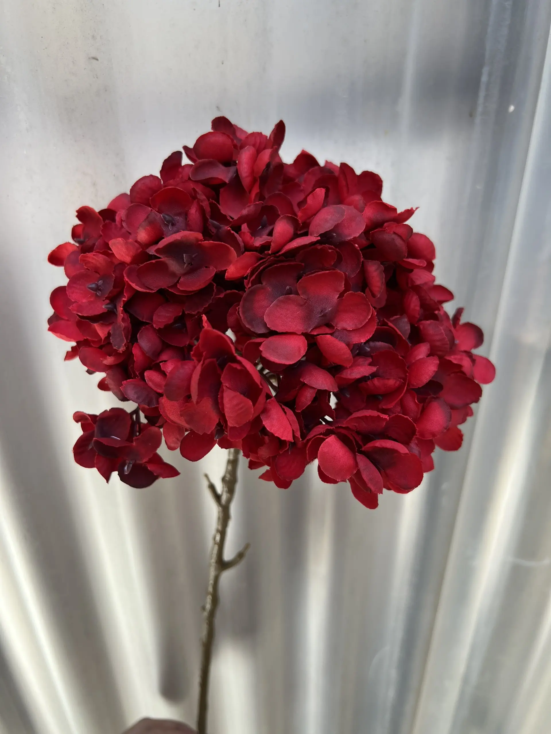 Hoa Tú Cầu Đại 1 Bông - Ảnh 10