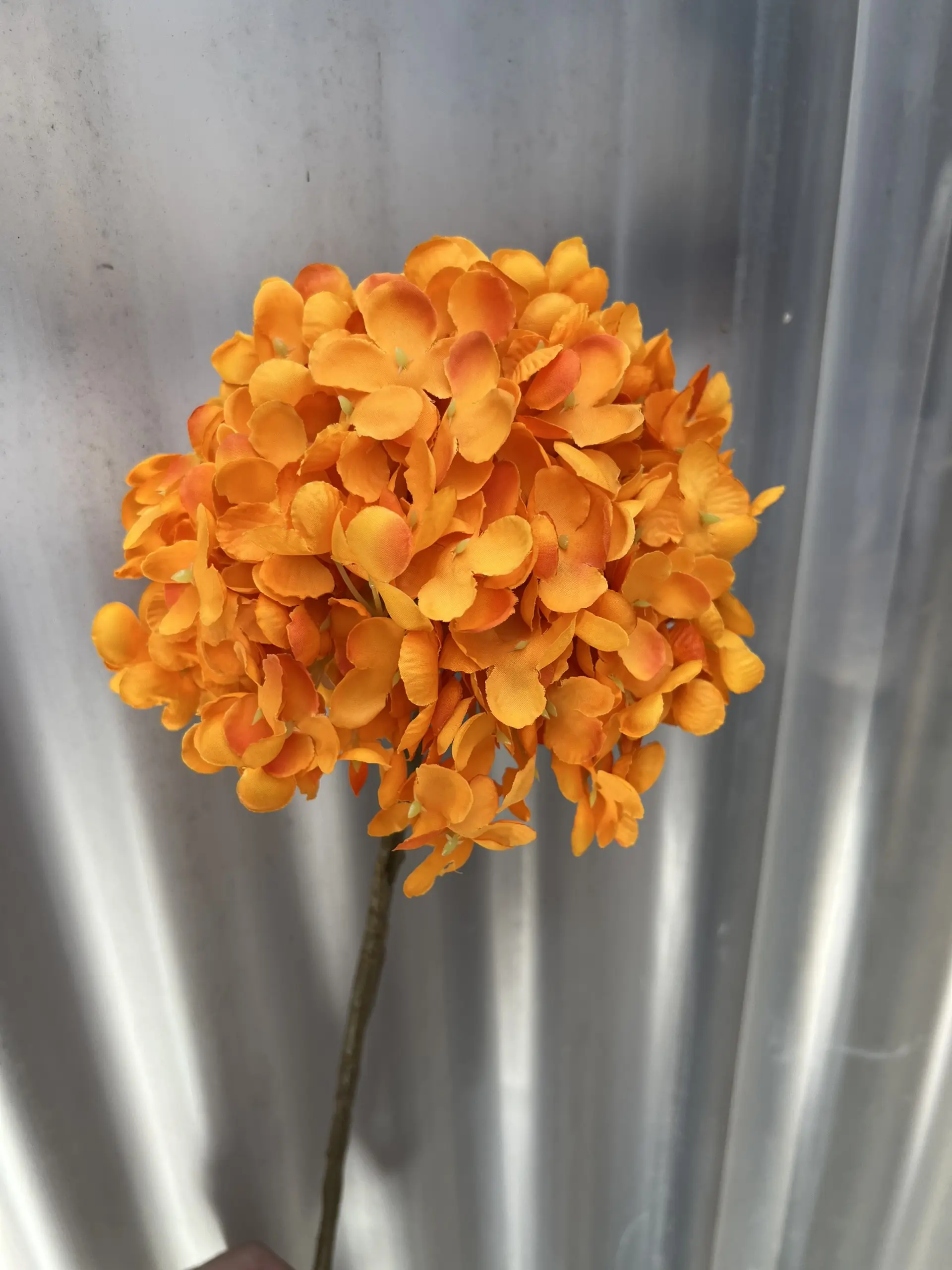 Hoa Tú Cầu Đại 1 Bông - Ảnh 12