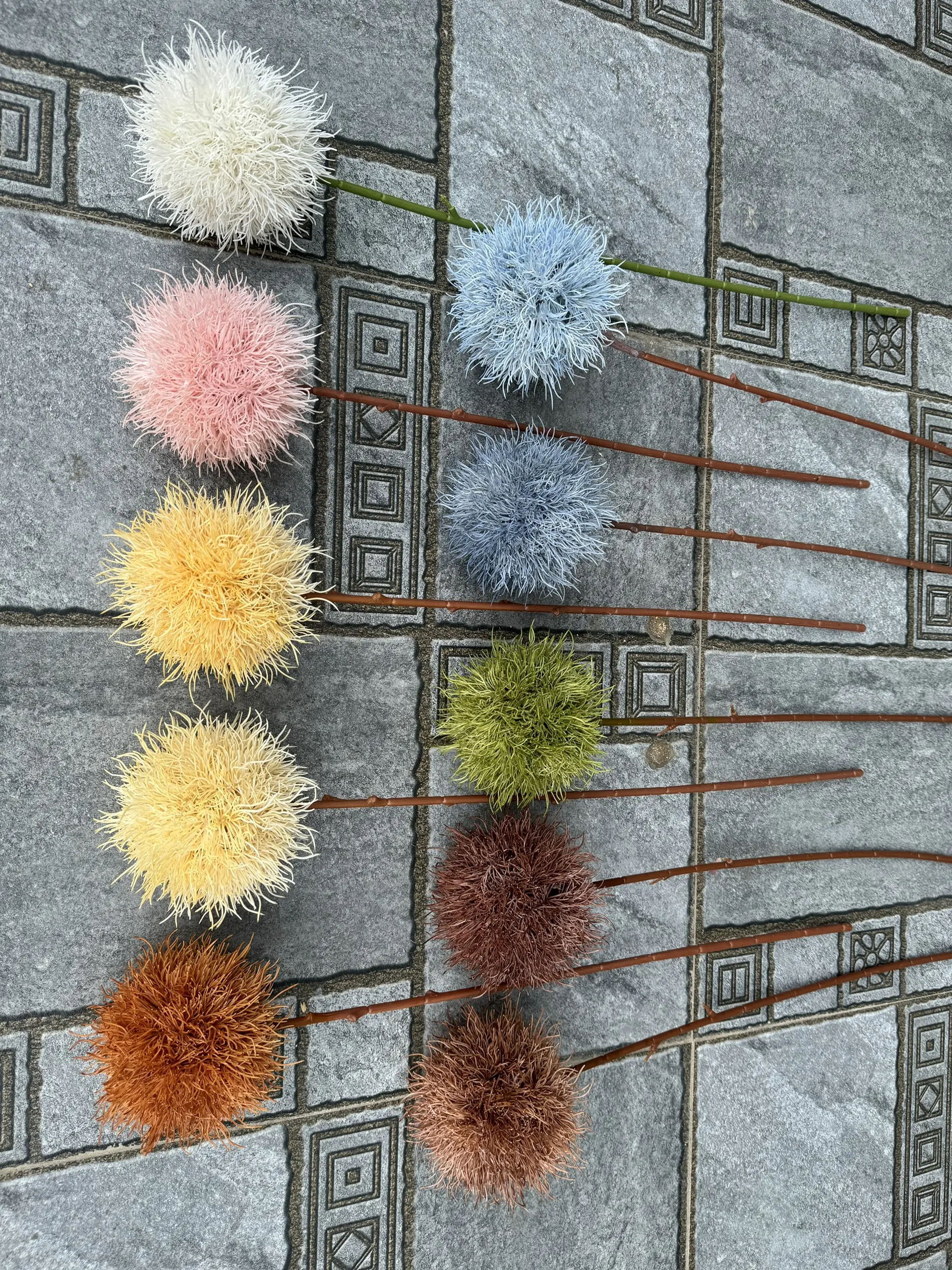 Hoa Tú Cầu Gai - Ảnh 4