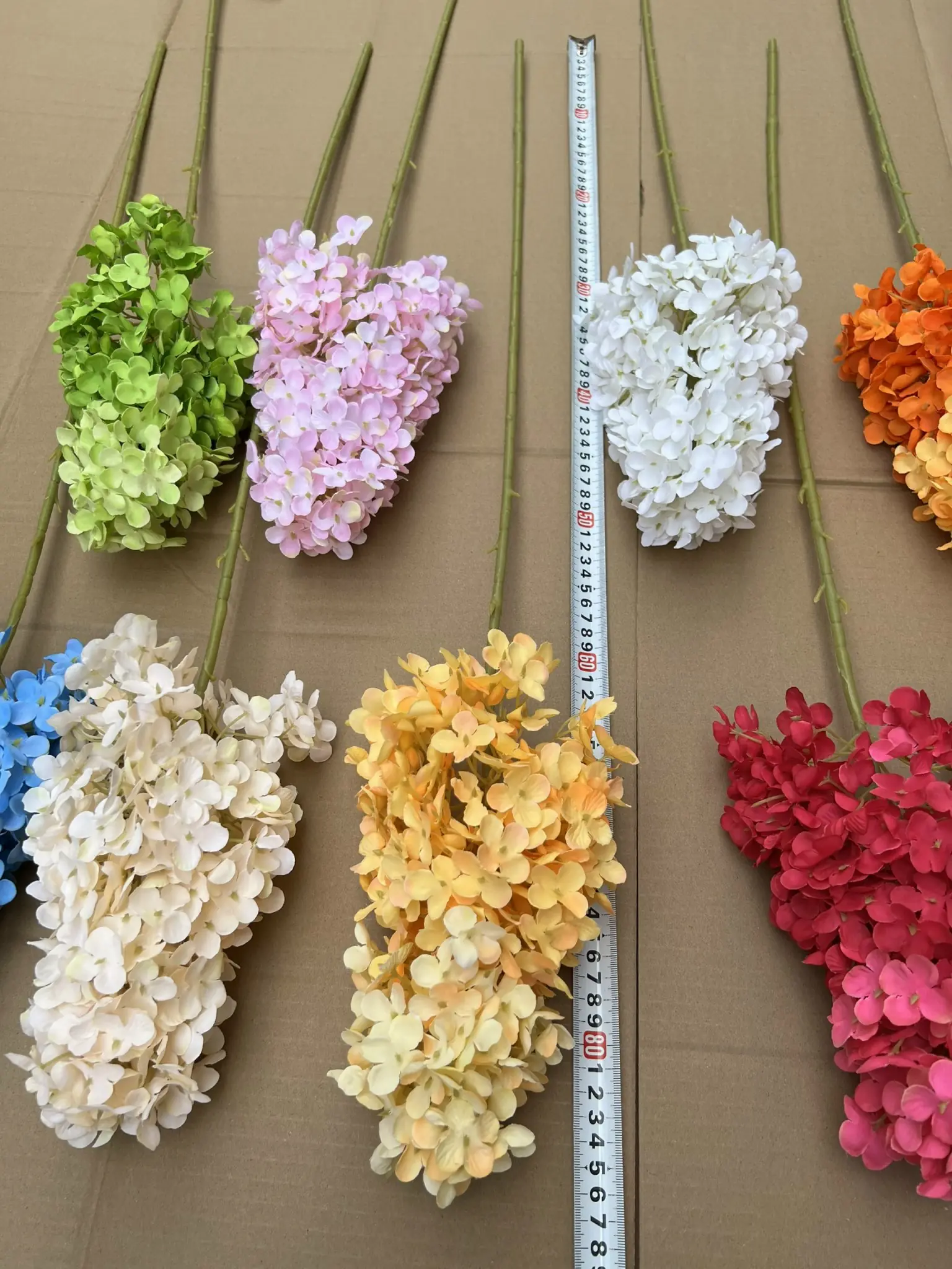 Hoa Tú Càu Lê - Ảnh 2