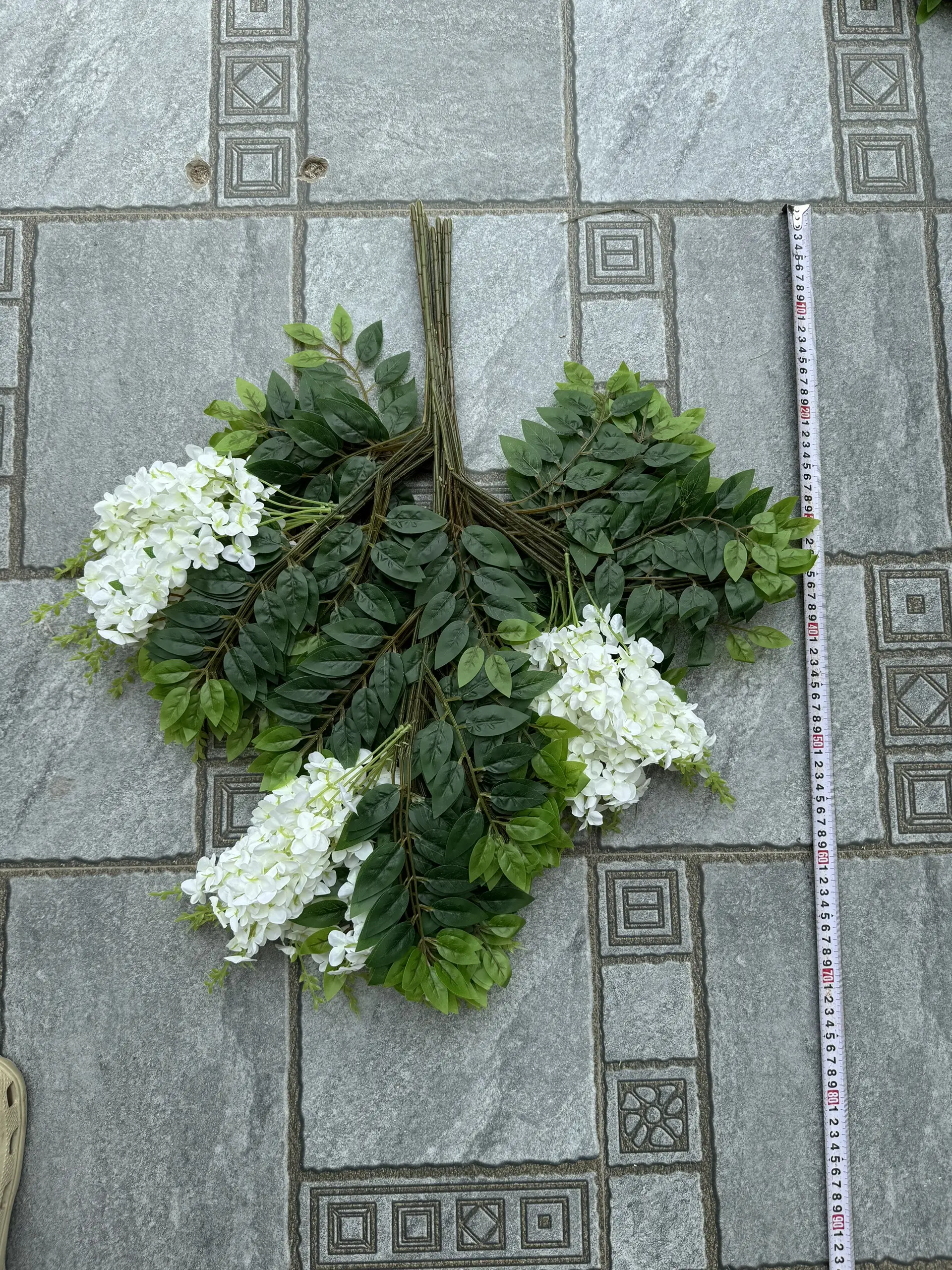 Hoa Tử Đằng Có Hoa