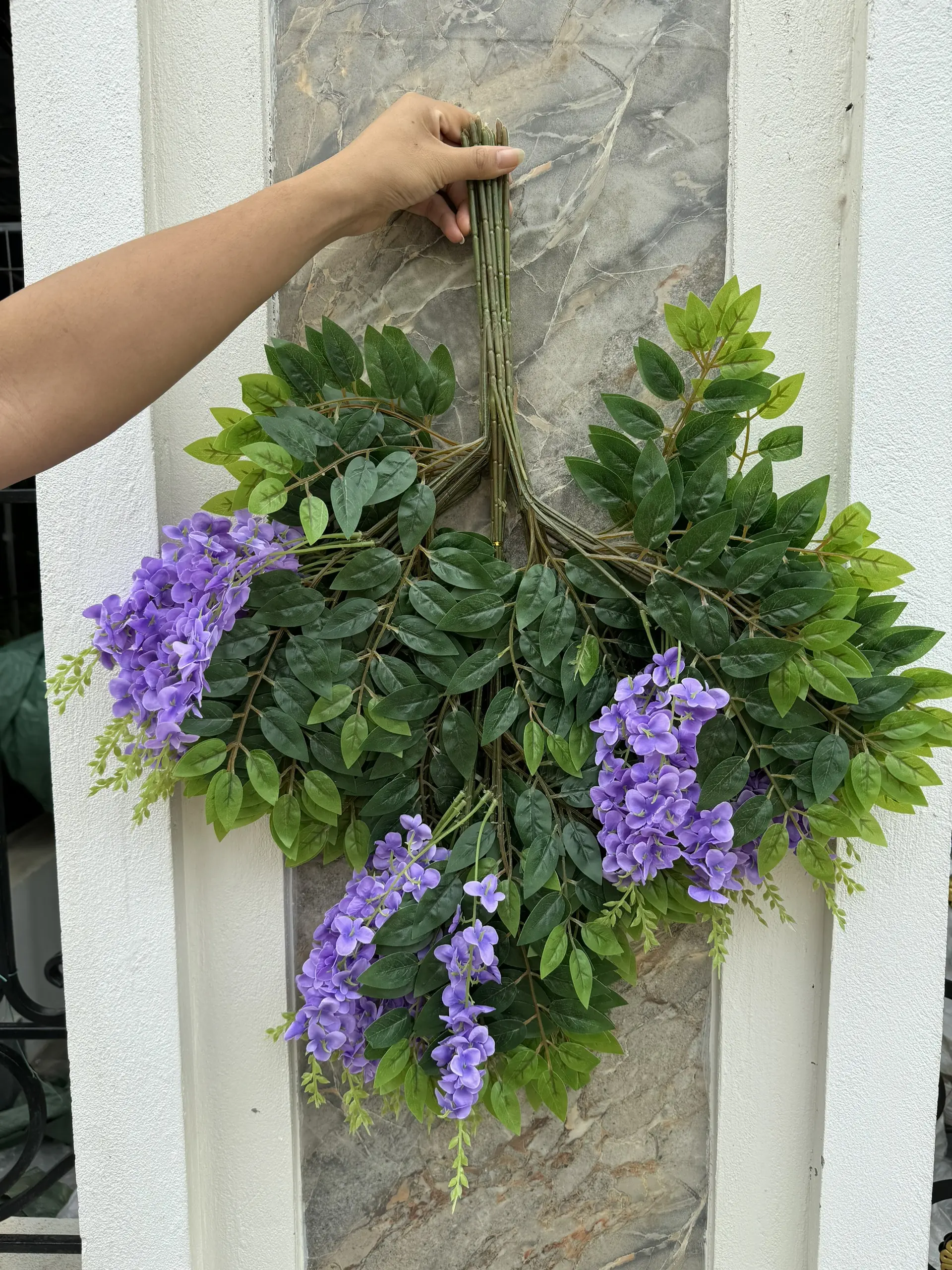 Hoa Tử Đằng Có Hoa - Ảnh 2