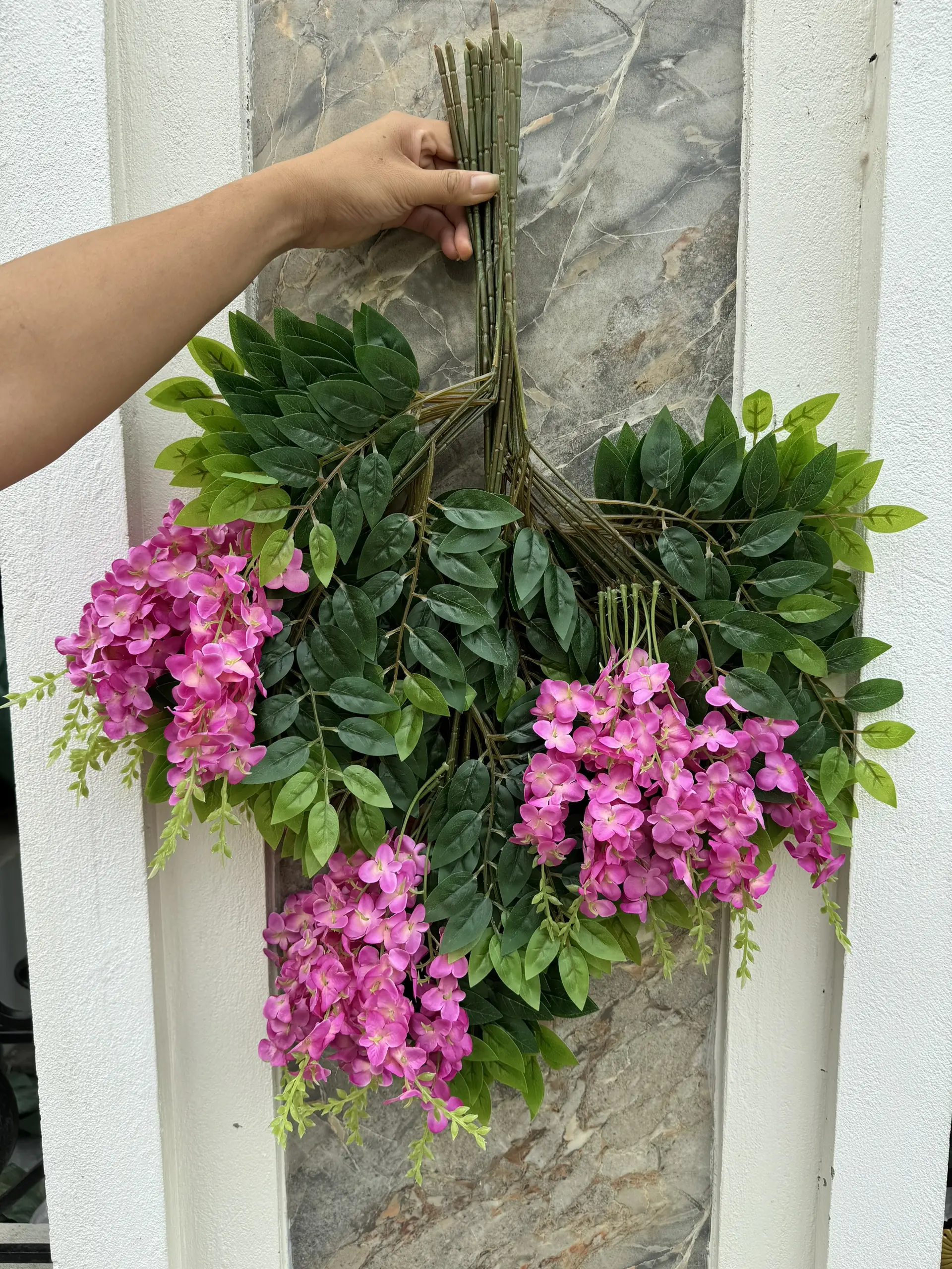 Hoa Tử Đằng Có Hoa - Ảnh 4