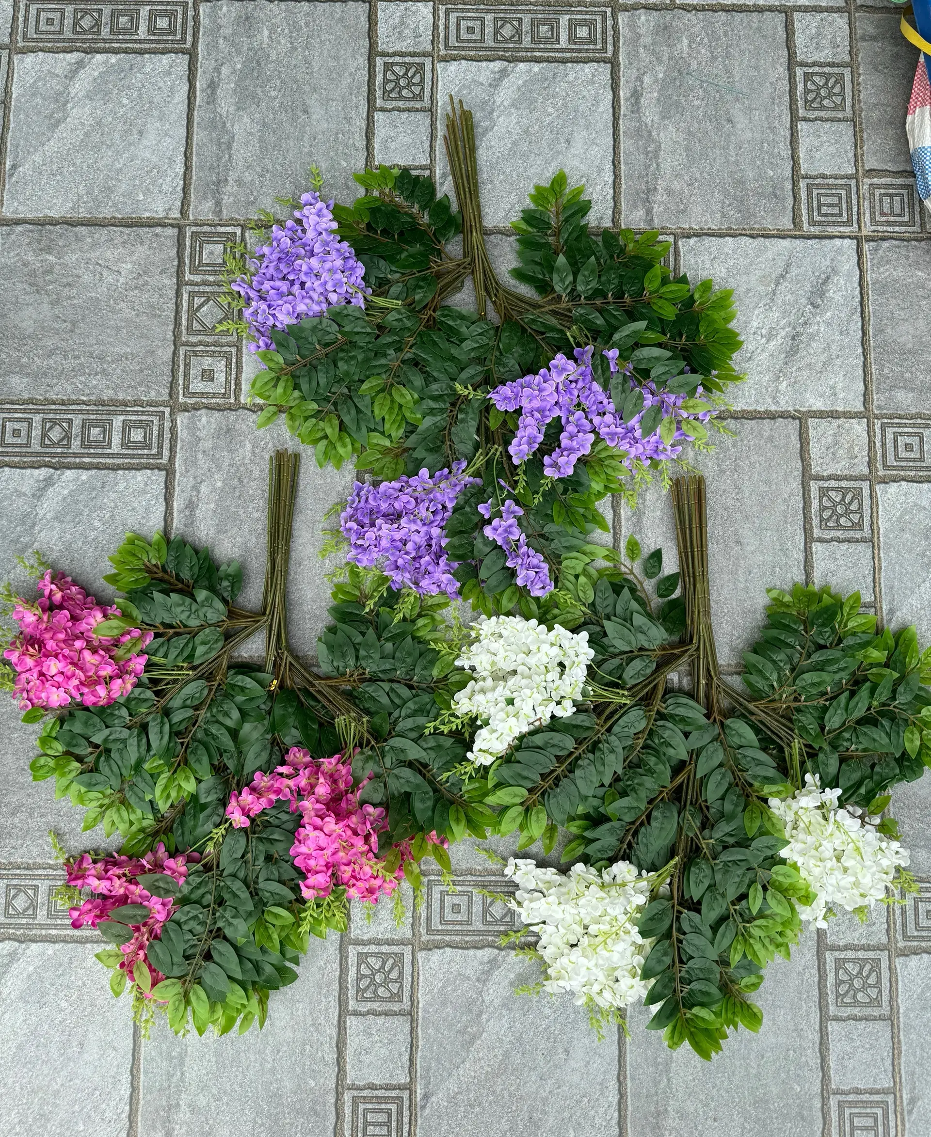 Hoa Tử Đằng Có Hoa - Ảnh 5