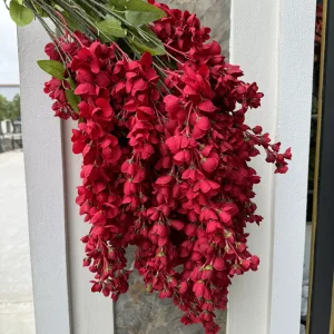 Hoa Tử Đằng VIP