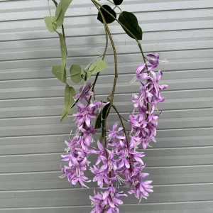 Hoa Tử Đinh Hương