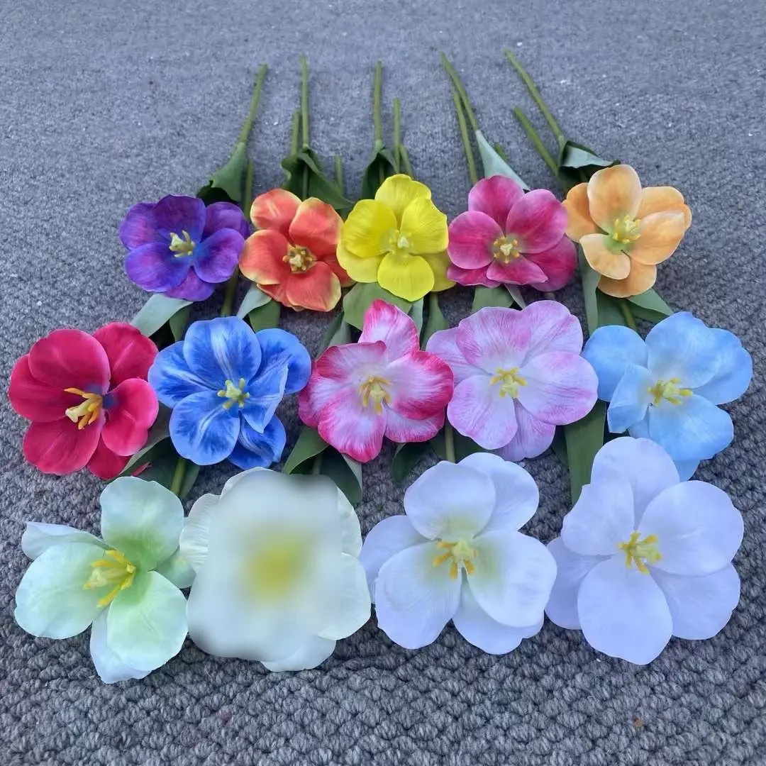 Hoa Tulip Nở - Ảnh 2