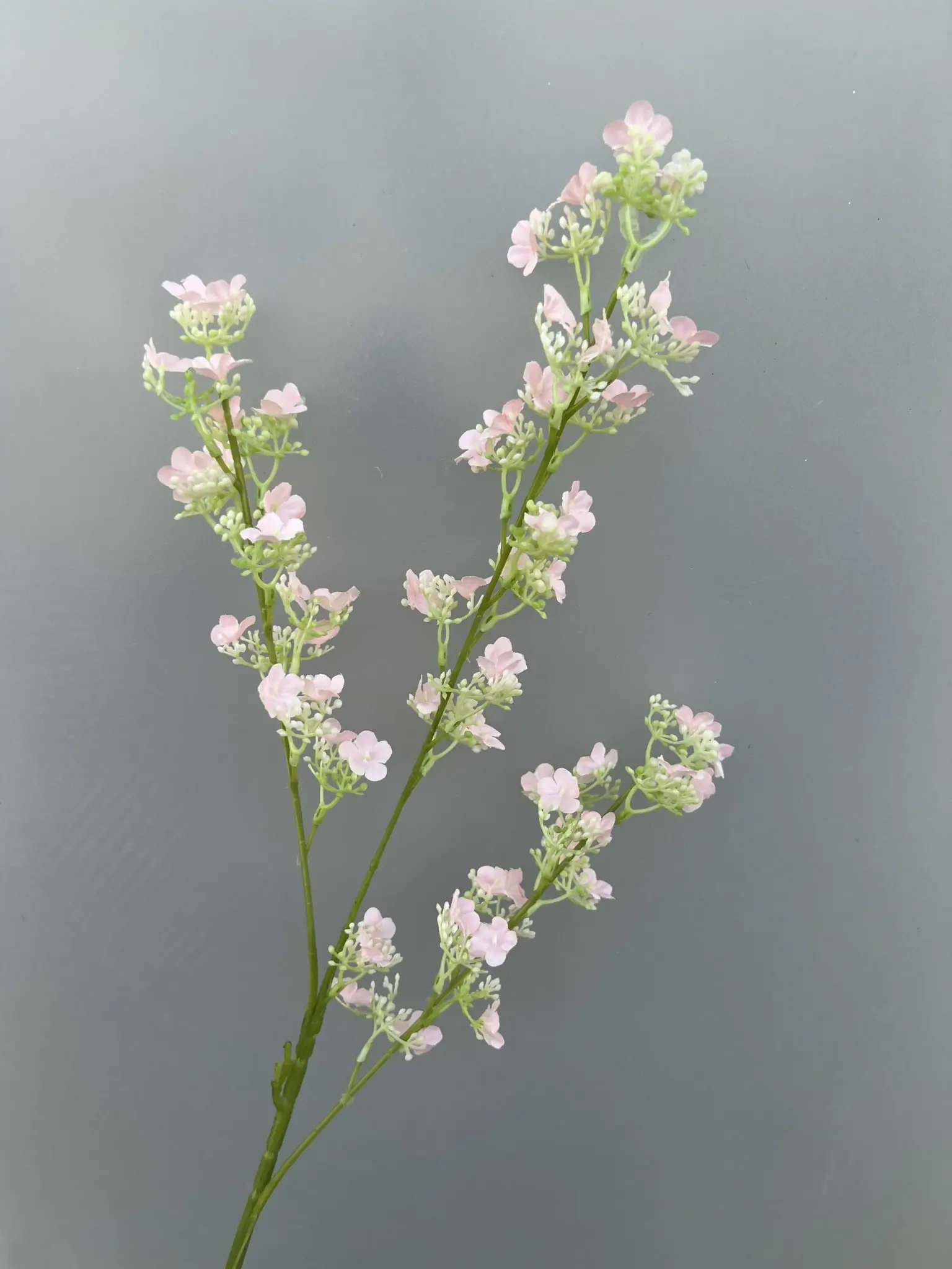 Hoa Tuyết Mai 3 Nhánh - Ảnh 2