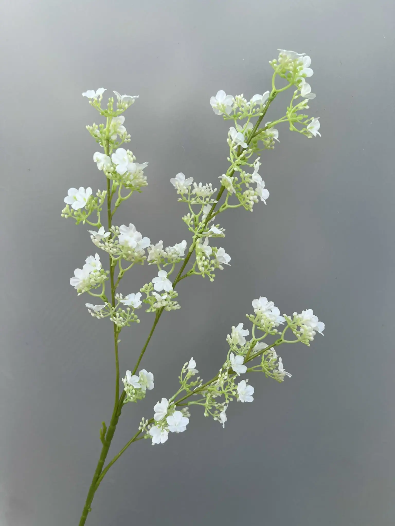 Hoa Tuyết Mai 3 Nhánh - Ảnh 4