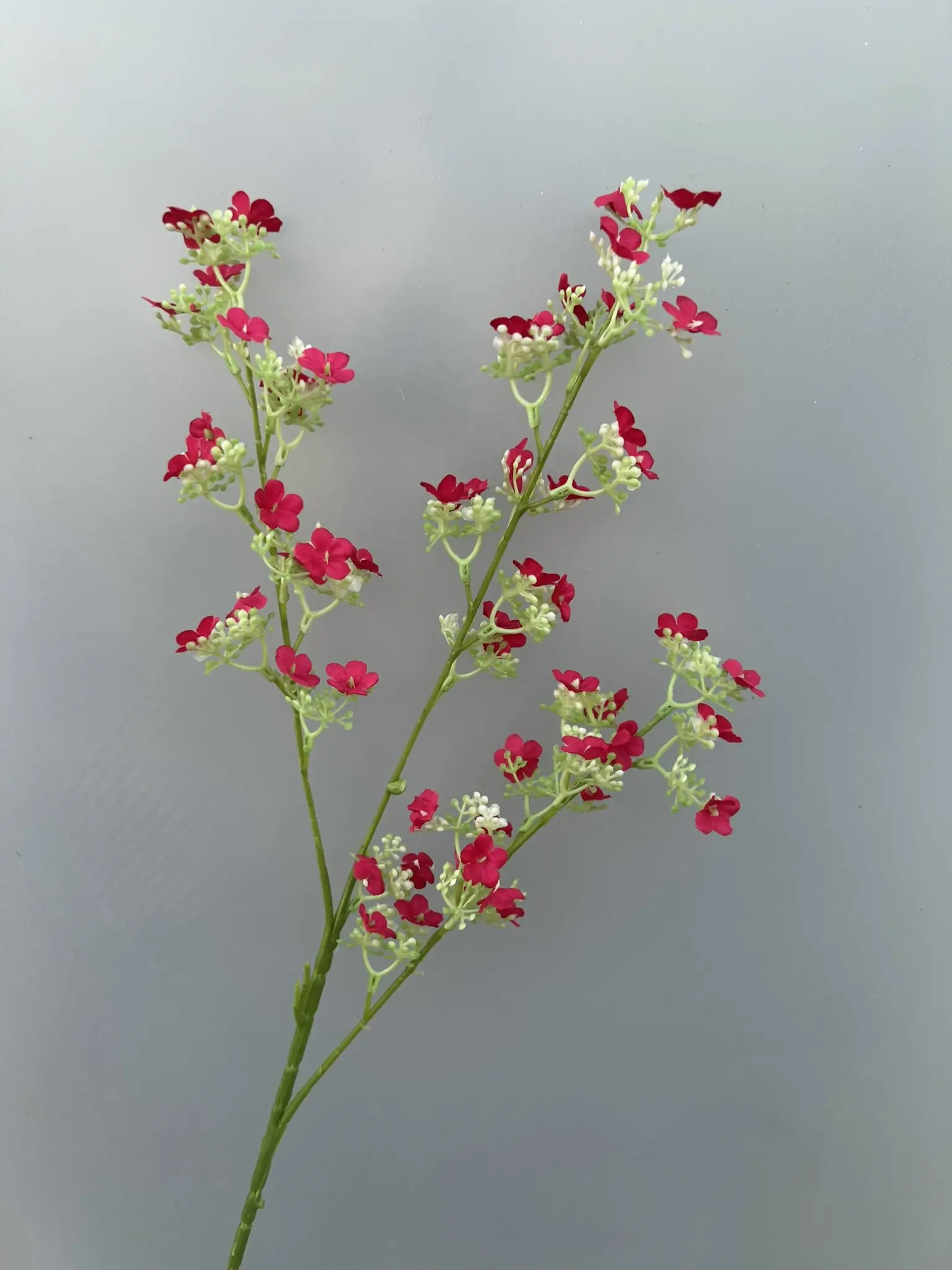 Hoa Tuyết Mai 3 Nhánh - Ảnh 5