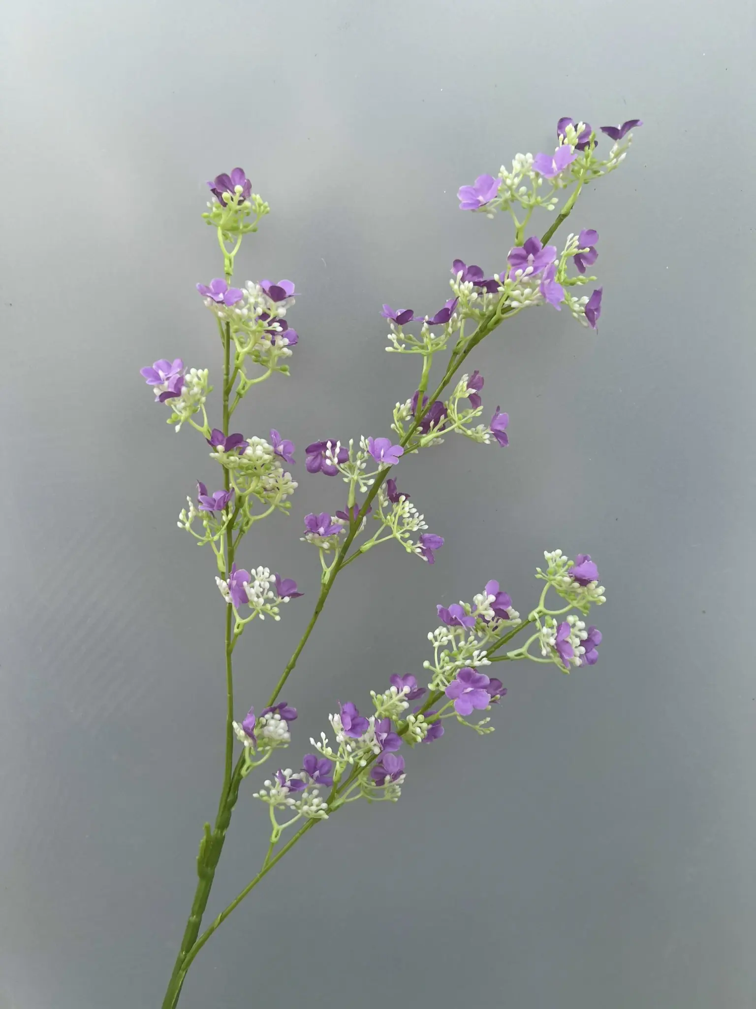 Hoa Tuyết Mai 3 Nhánh - Ảnh 8