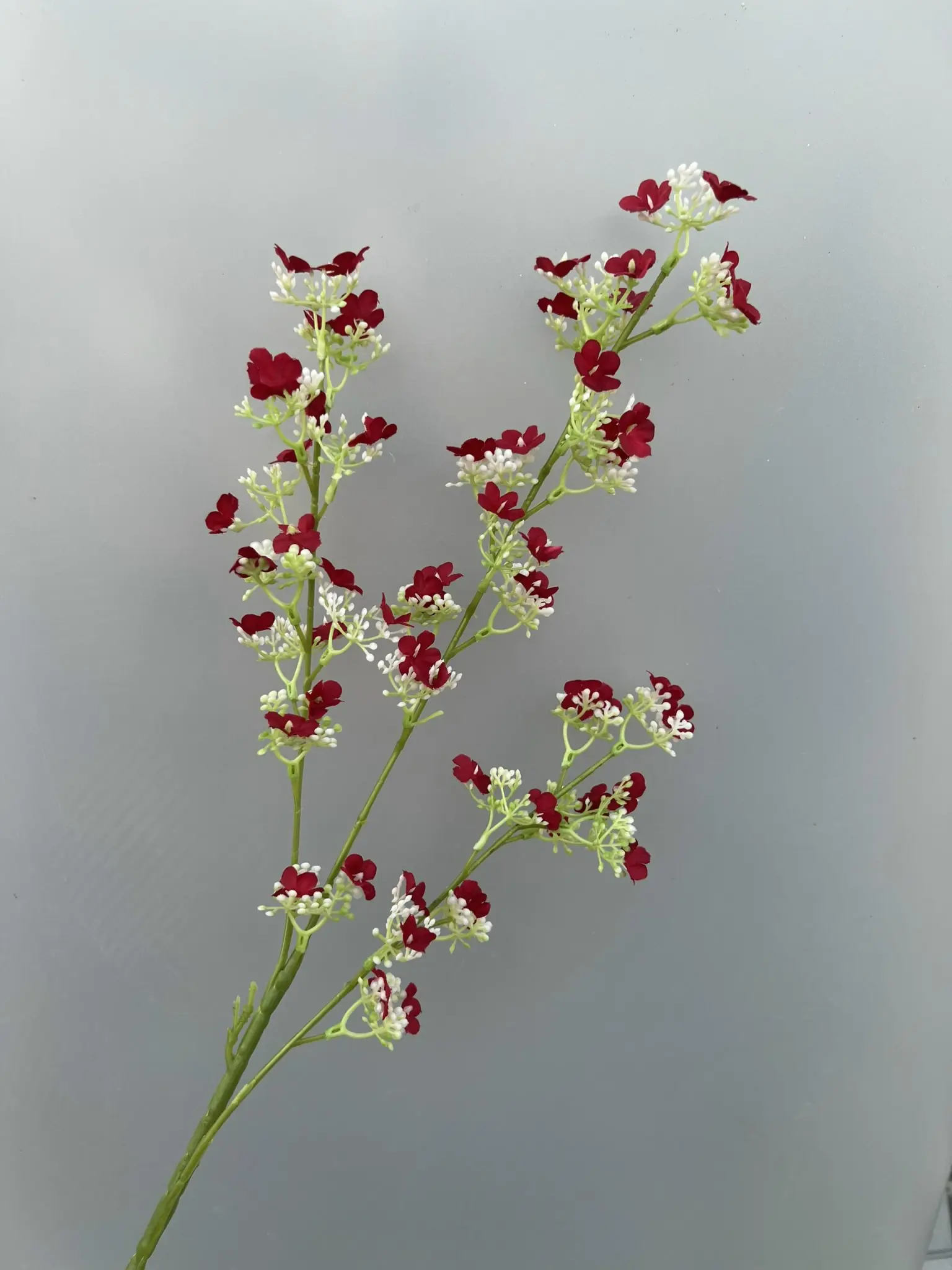 Hoa Tuyết Mai 3 Nhánh - Ảnh 10