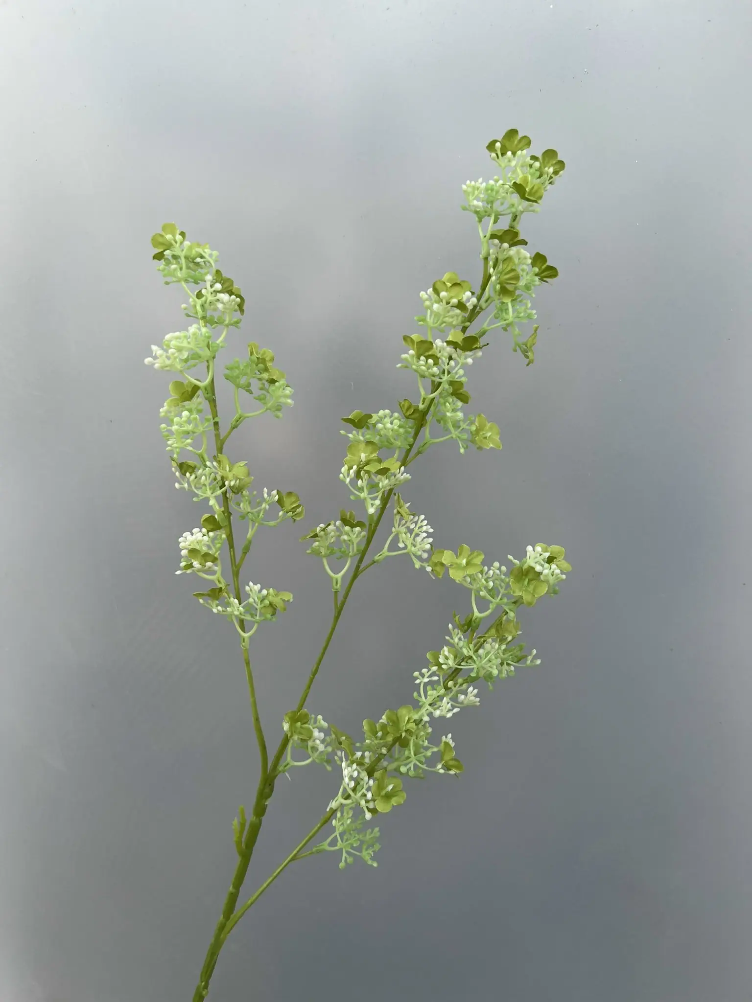 Hoa Tuyết Mai 3 Nhánh - Ảnh 12